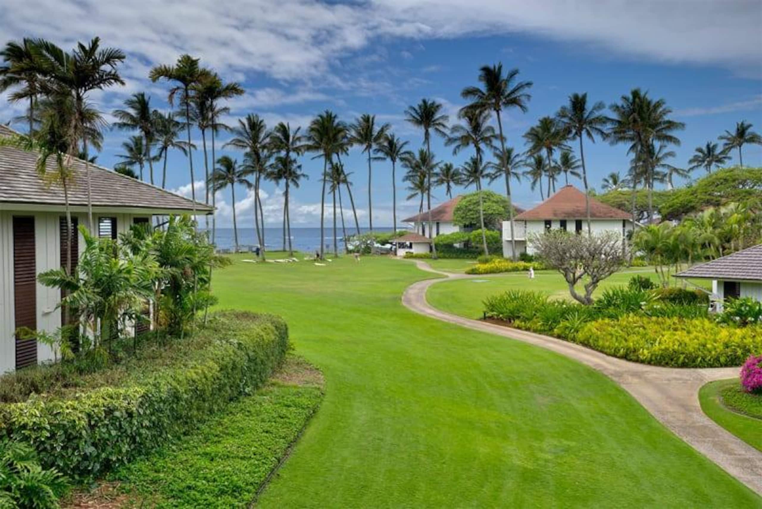 Poipu Beach retreat w/ pool, hot tub & gym - Photo 10