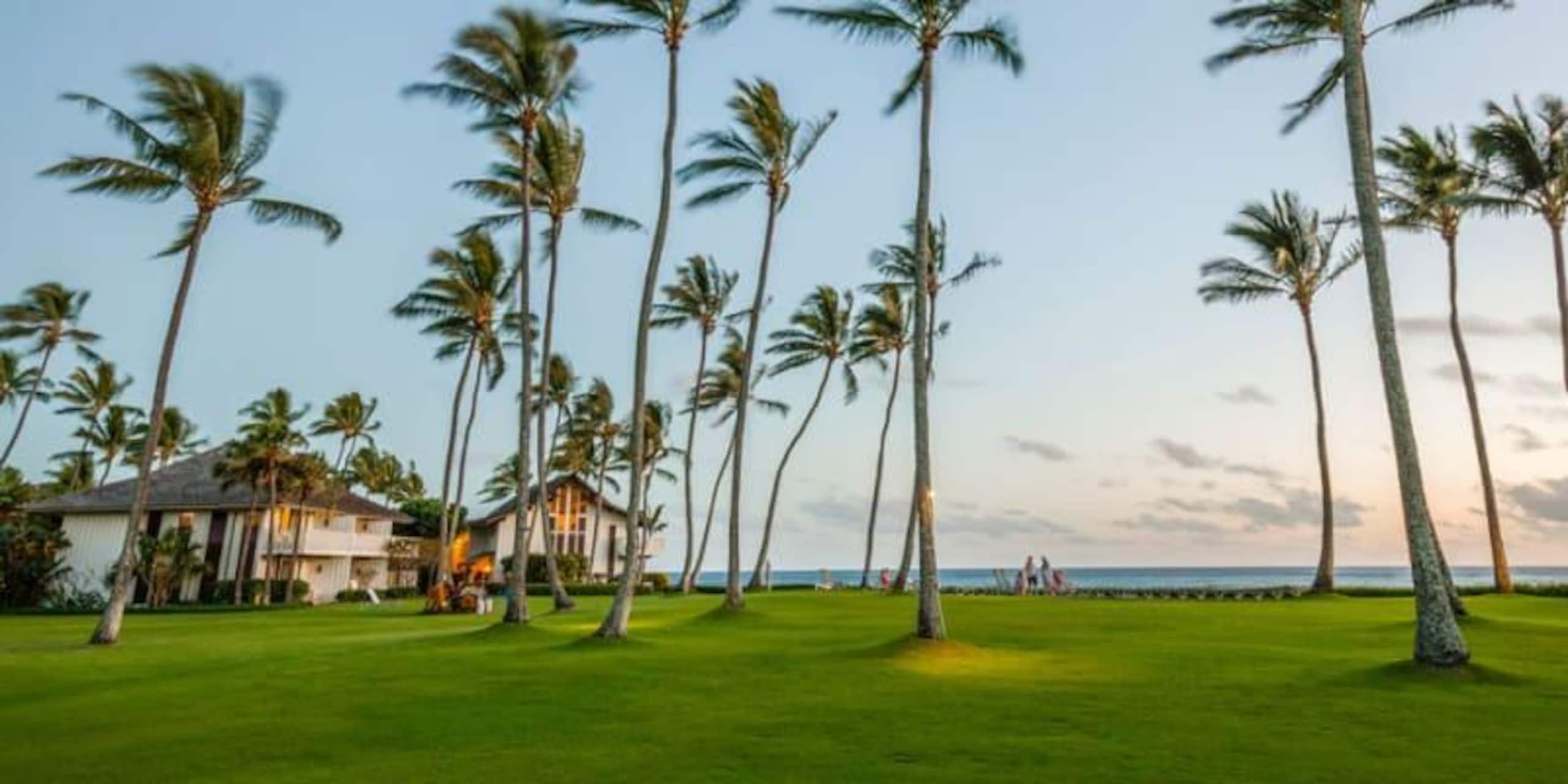 Poipu Beach retreat w/ pool, hot tub & gym - Photo 14