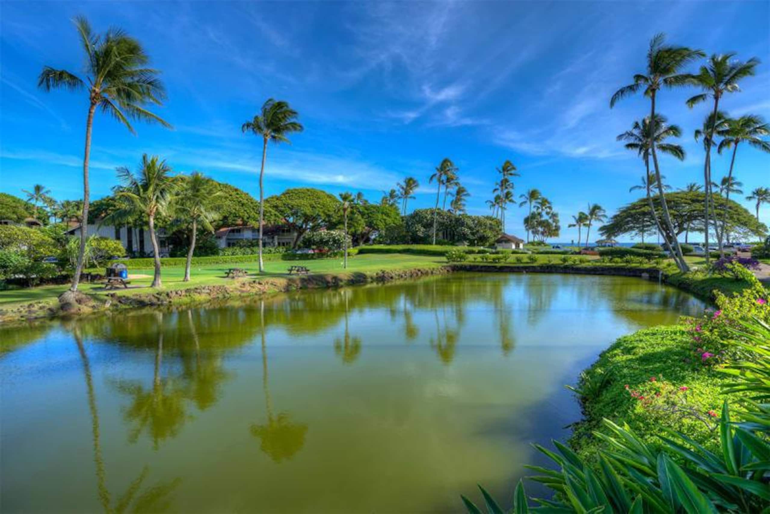 Condo in Koloa · ★4.38 · 2 bedrooms · 3 beds · 2 baths - Photo 11