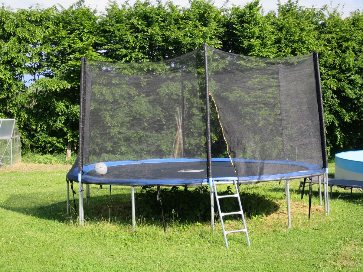 A large outdoor trampoline is located in a grassy area, surrounded by a dense green hedgerow. The trampoline features a safety net and a ladder, providing safe access for users. Sunlight highlights the trampoline's blue border, creating an inviting play space.