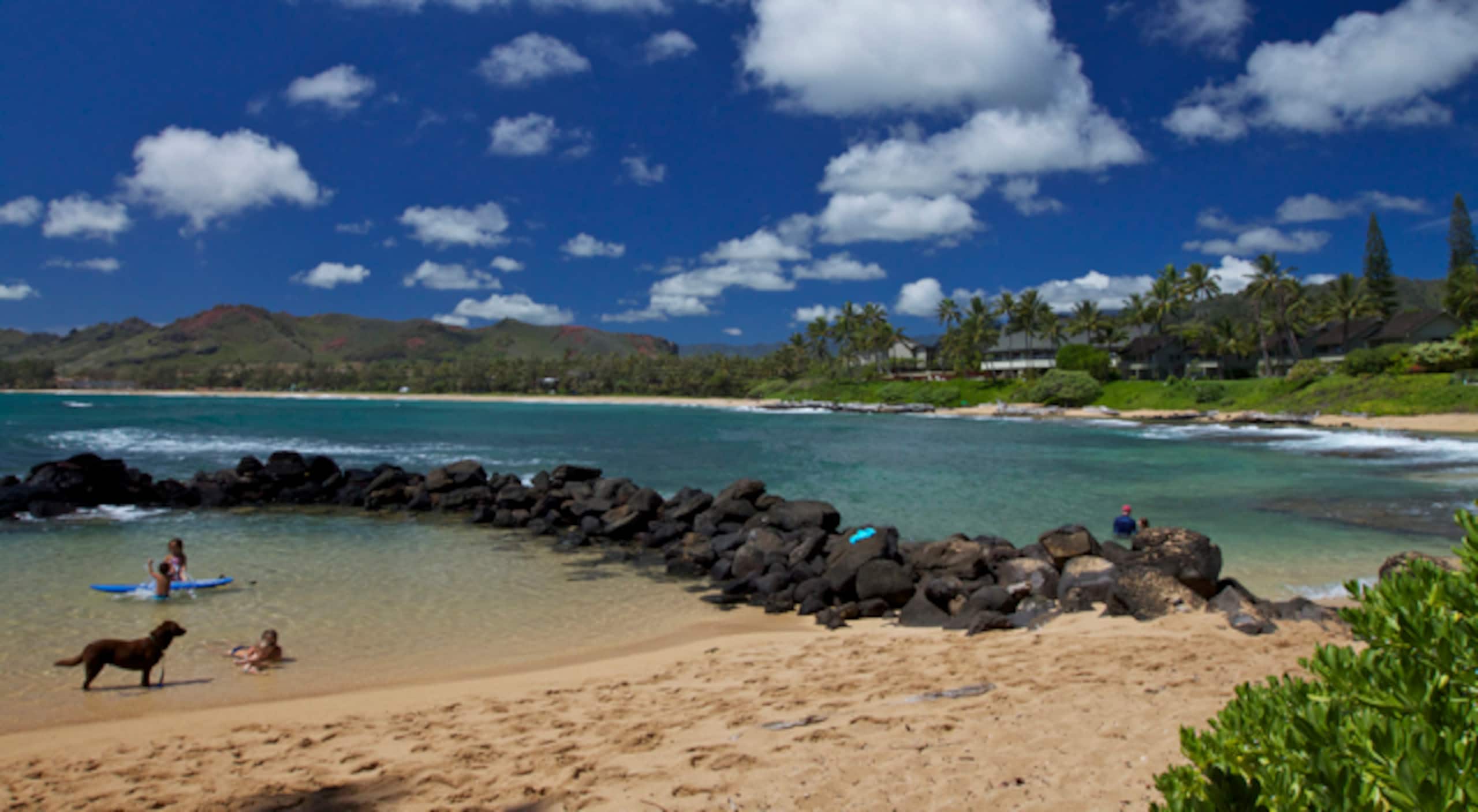 Condo in Kapaa · ★4.77 · 3 bedrooms · 3 beds · 3 baths - Photo 25