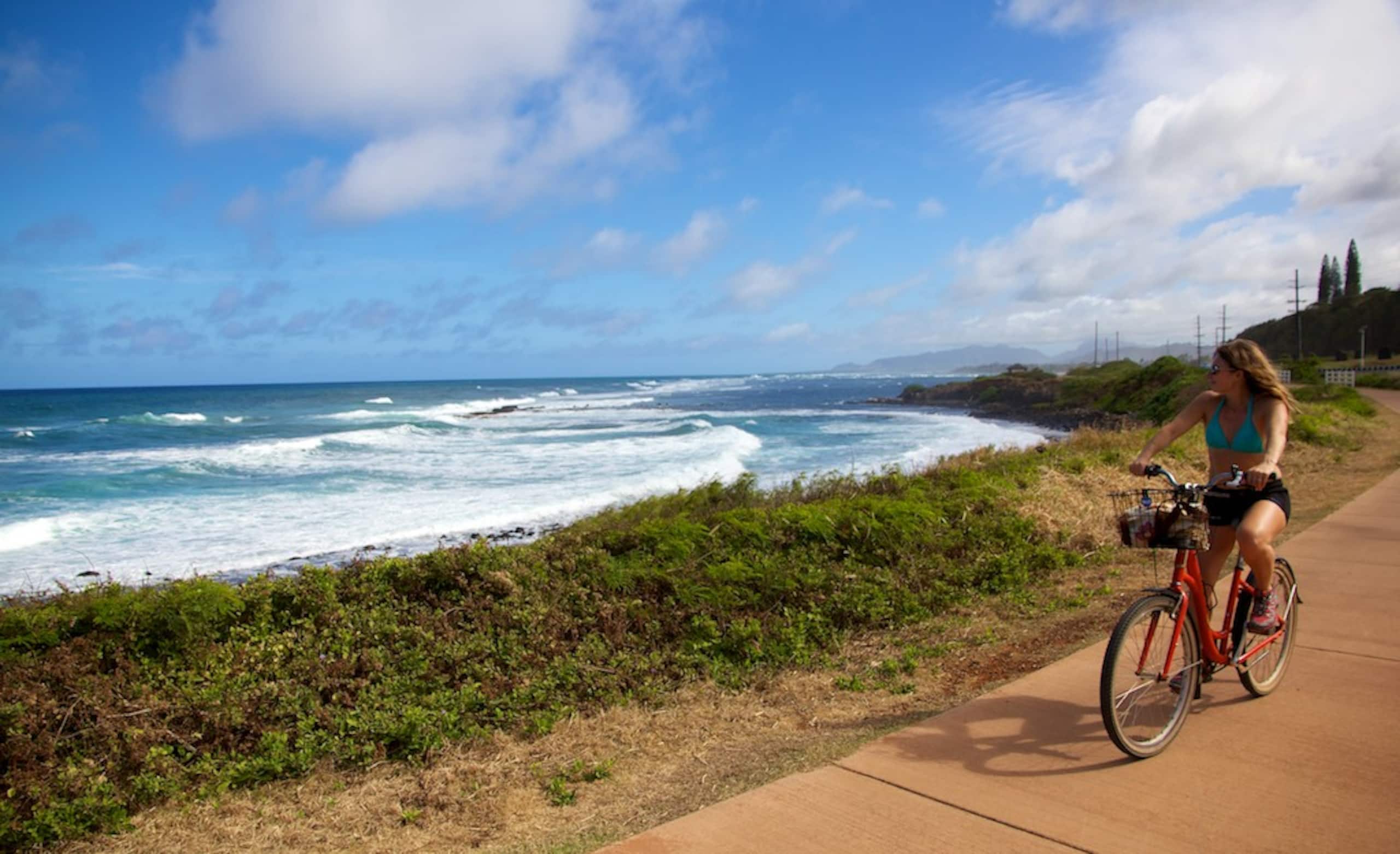 Condo in Kapaa · ★4.77 · 3 bedrooms · 3 beds · 3 baths - Photo 22