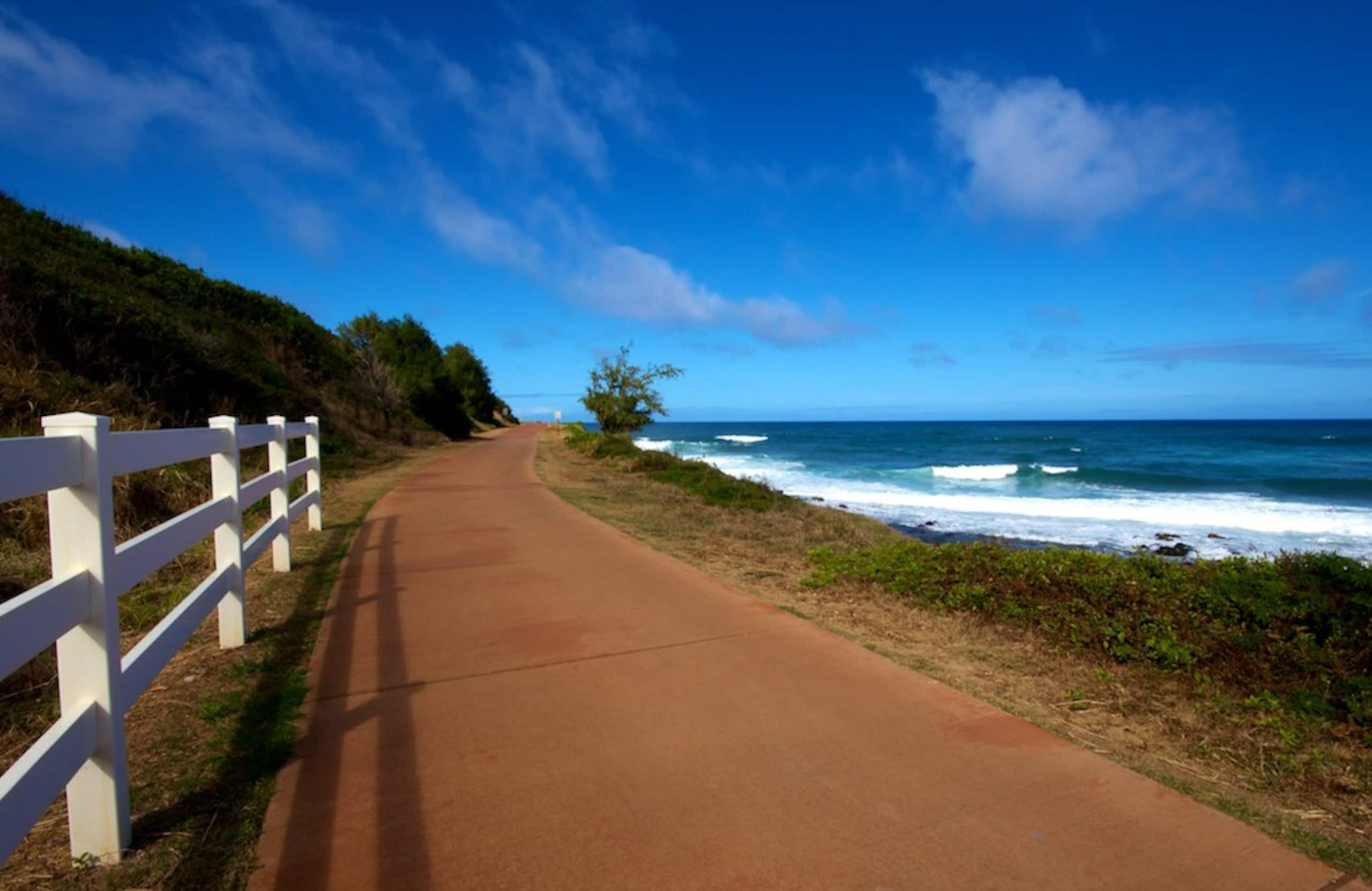 Condo in Kapaa · ★4.77 · 3 bedrooms · 3 beds · 3 baths - Photo 27