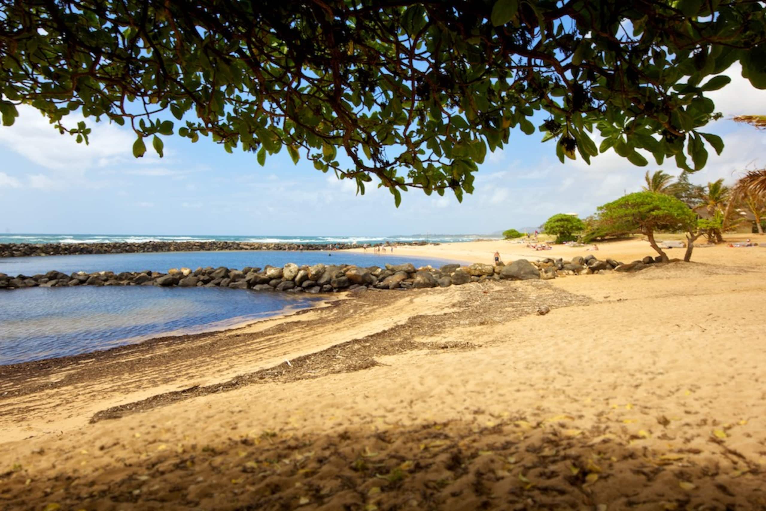 Condo in Kapaa · ★4.77 · 3 bedrooms · 3 beds · 3 baths - Photo 24
