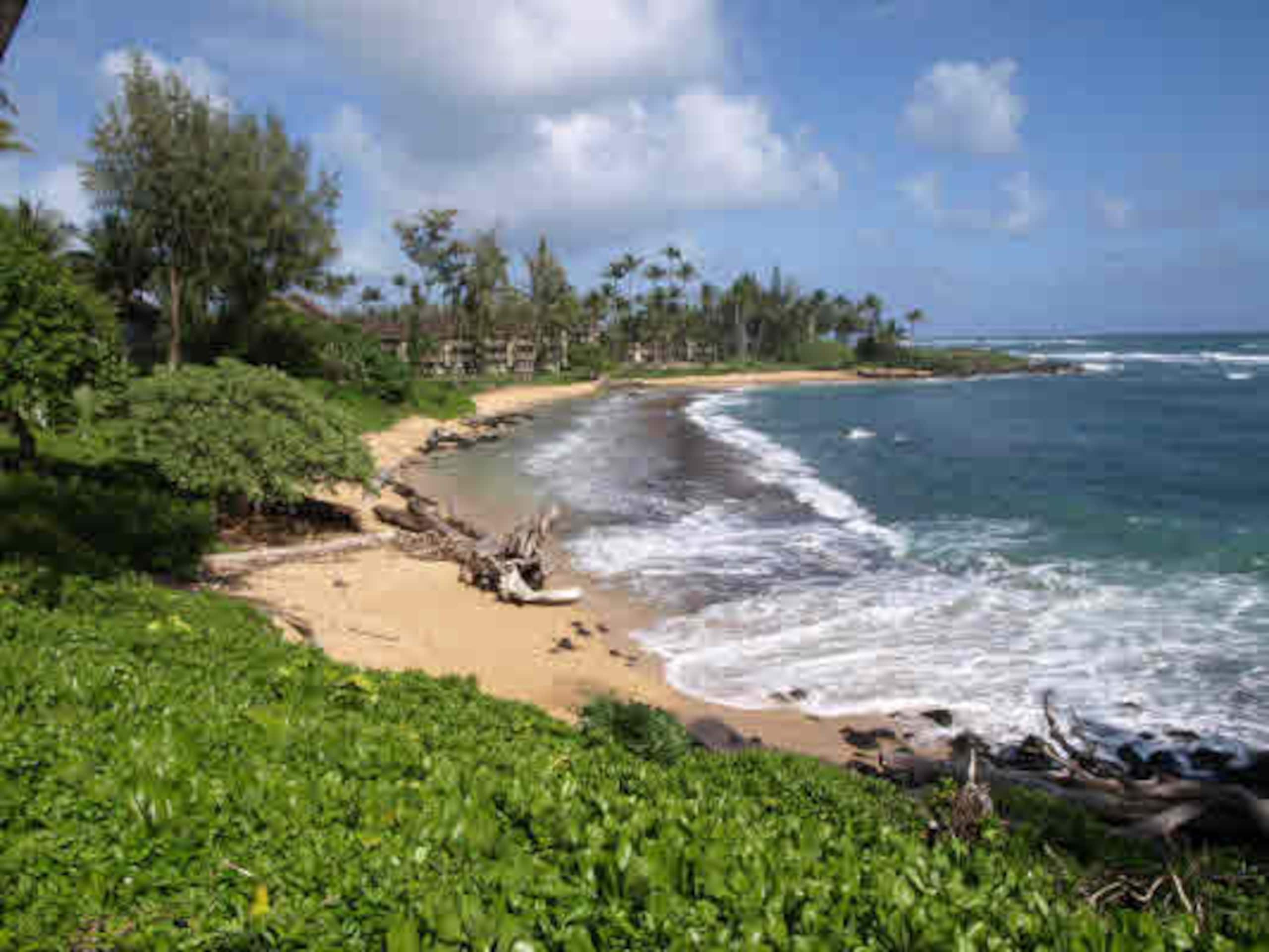Condo in Kapaa · ★4.77 · 3 bedrooms · 3 beds · 3 baths - Photo 26