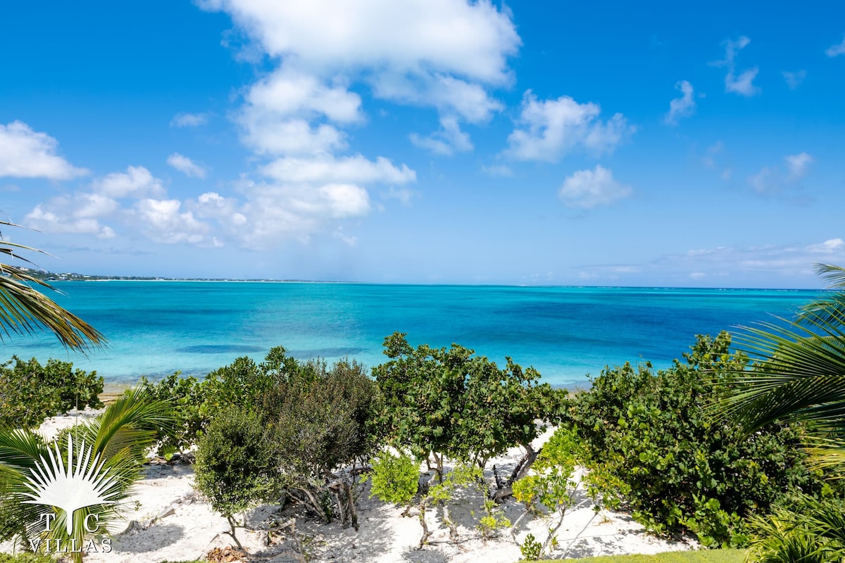 A vibrant view of the turquoise waters is presented, framed by lush greenery and sandy shore. The clear sky features soft clouds, enhancing the coastal scenery. The striking contrast between the sea and foliage creates an inviting atmosphere typical of a Caribbean getaway.