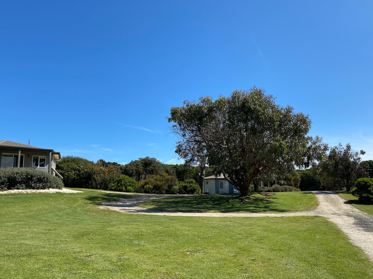A spacious outdoor area is shown with well-maintained grass. Two accommodations are positioned to the left and a gravel path leads through lush greenery towards additional buildings. A large tree provides shade, contributing to a serene environment under a clear blue sky.