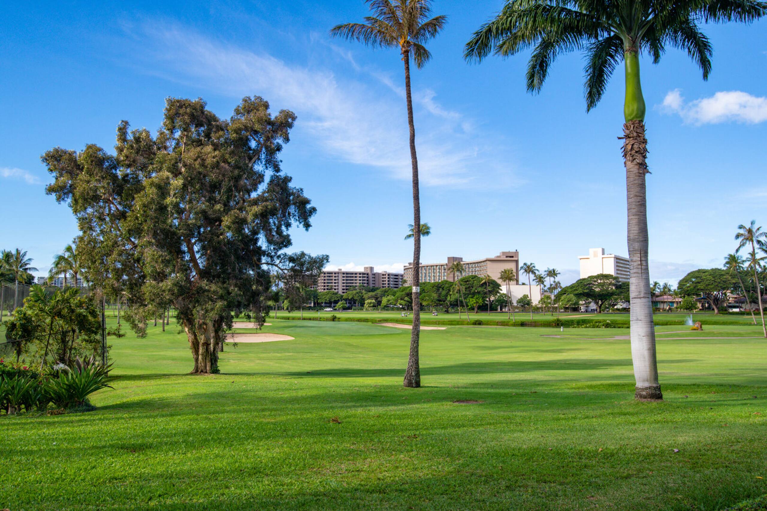 Condo in Lahaina · ★4.72 · 2 bedrooms · 3 beds · 2 baths - Image 32