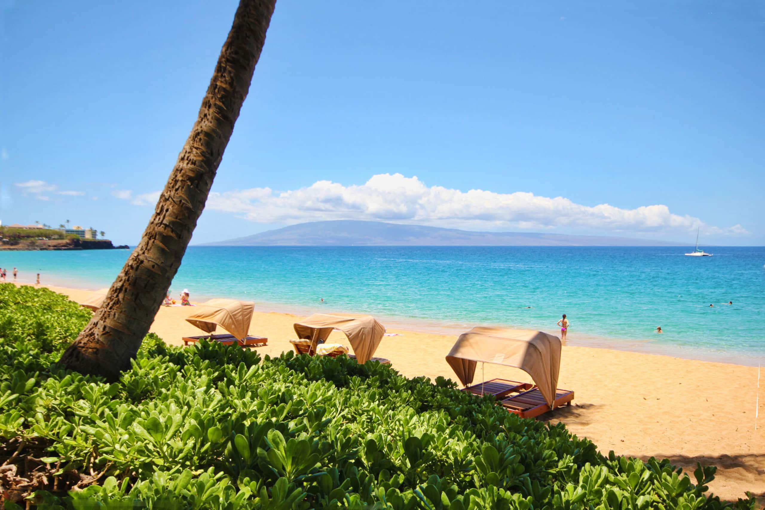 Condo in Lahaina · ★4.85 · Studio · 2 beds · 1 bath - Image 24
