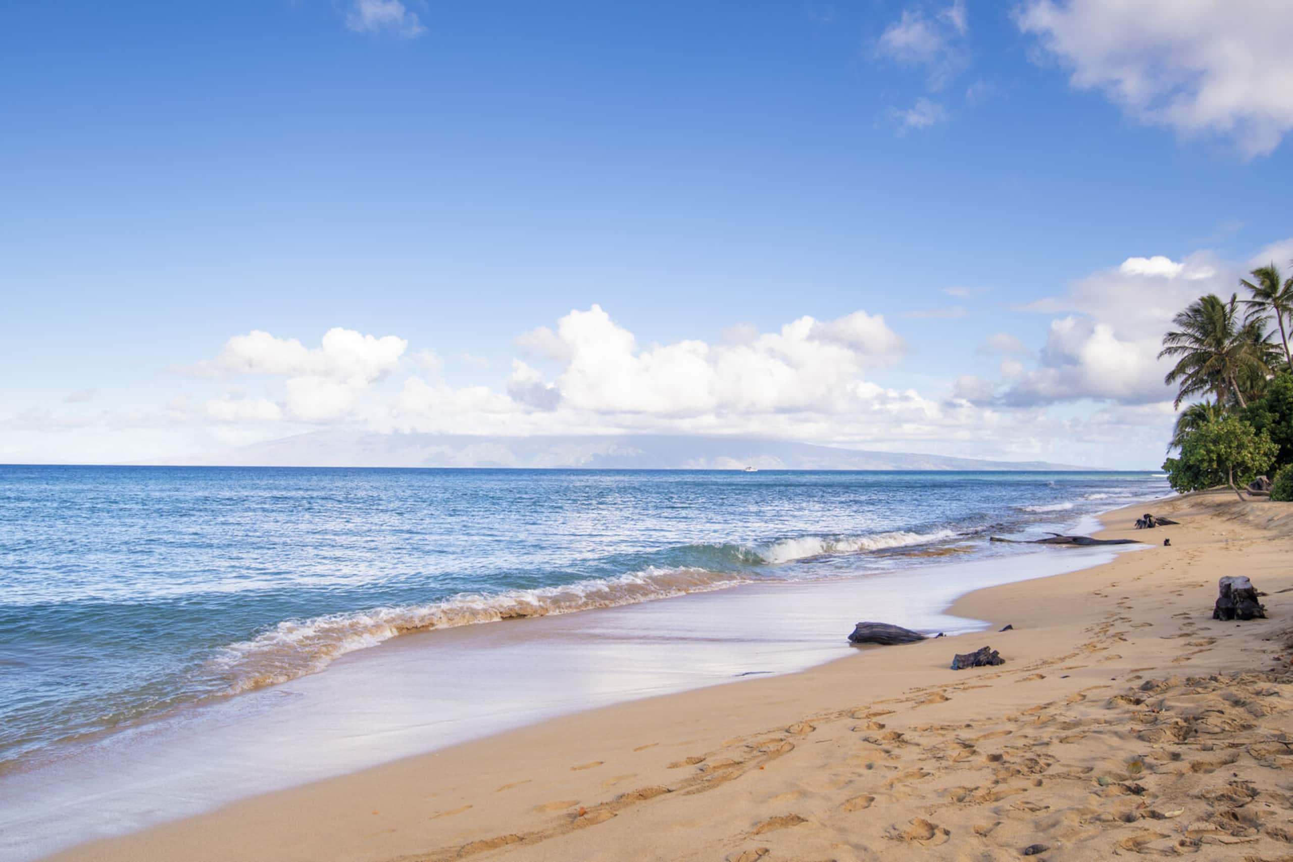Condo in Lahaina · ★4.85 · Studio · 2 beds · 1 bath - Image 36