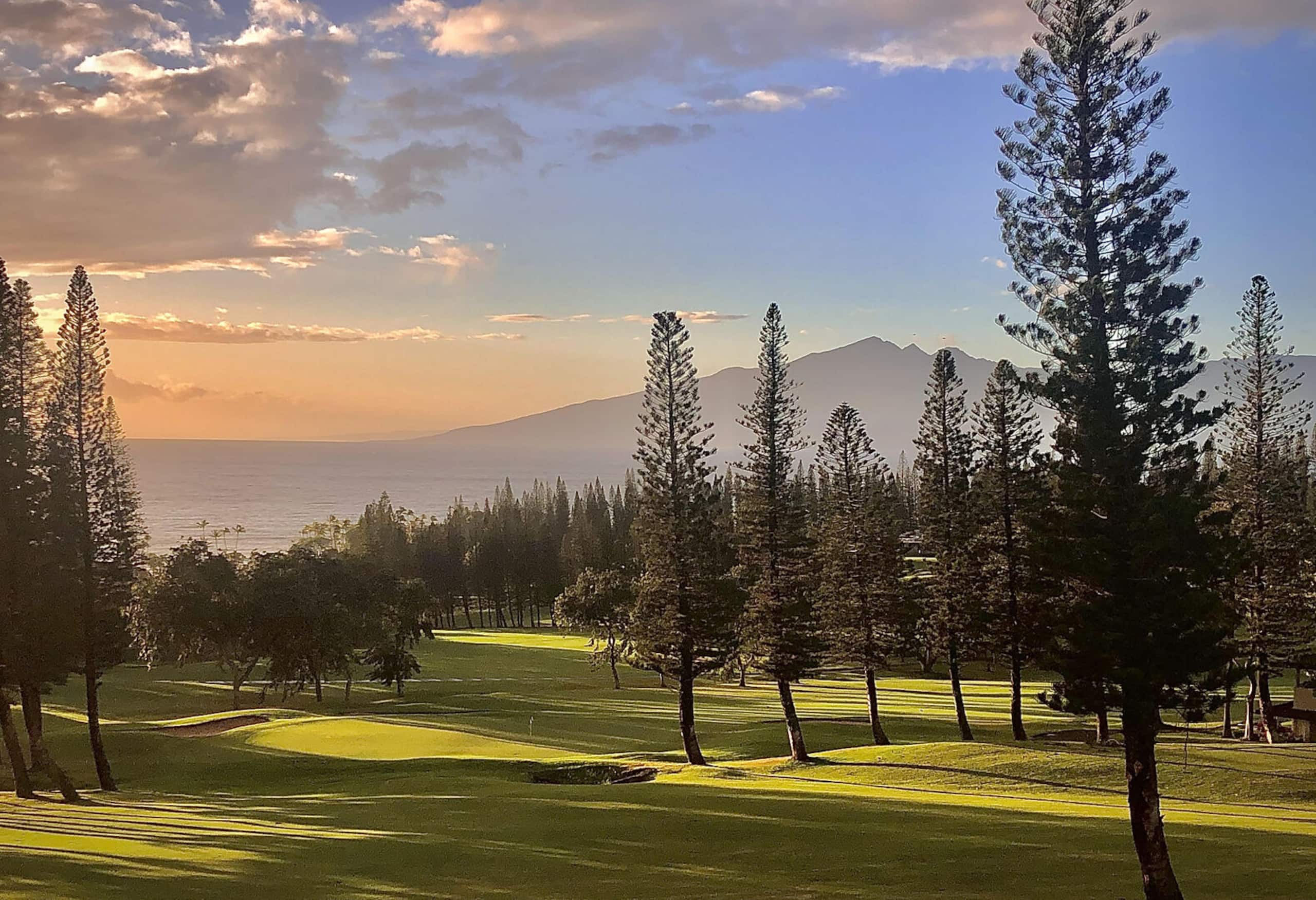 Condo in Lahaina · ★4.8 · 1 bedroom · 2 beds · 2 private baths - Image 39