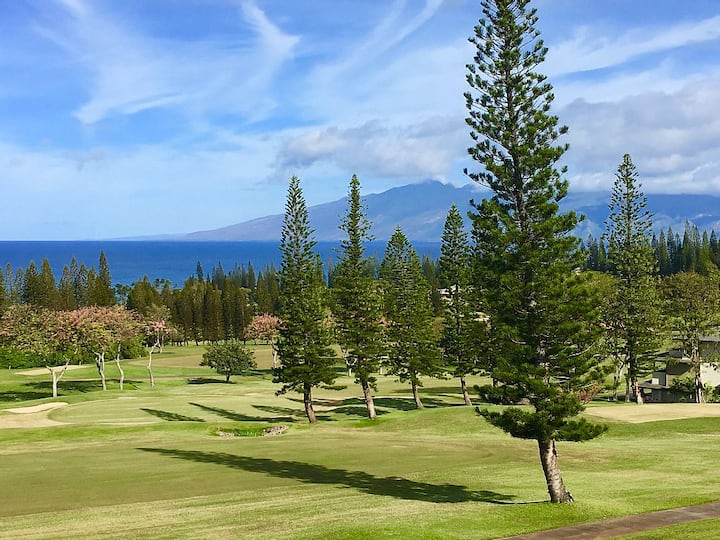 Exclusive 1bd Villa In A Prime Island Hotspot - Kapalua