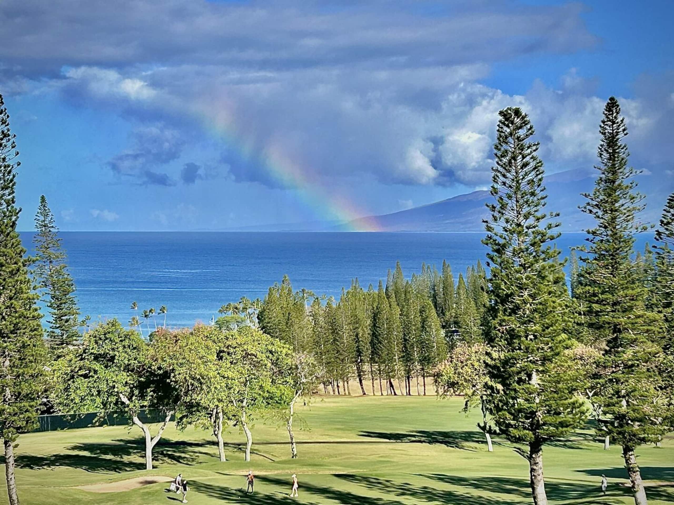Condo in Lahaina · ★4.8 · 1 bedroom · 2 beds · 2 private baths - Image 14