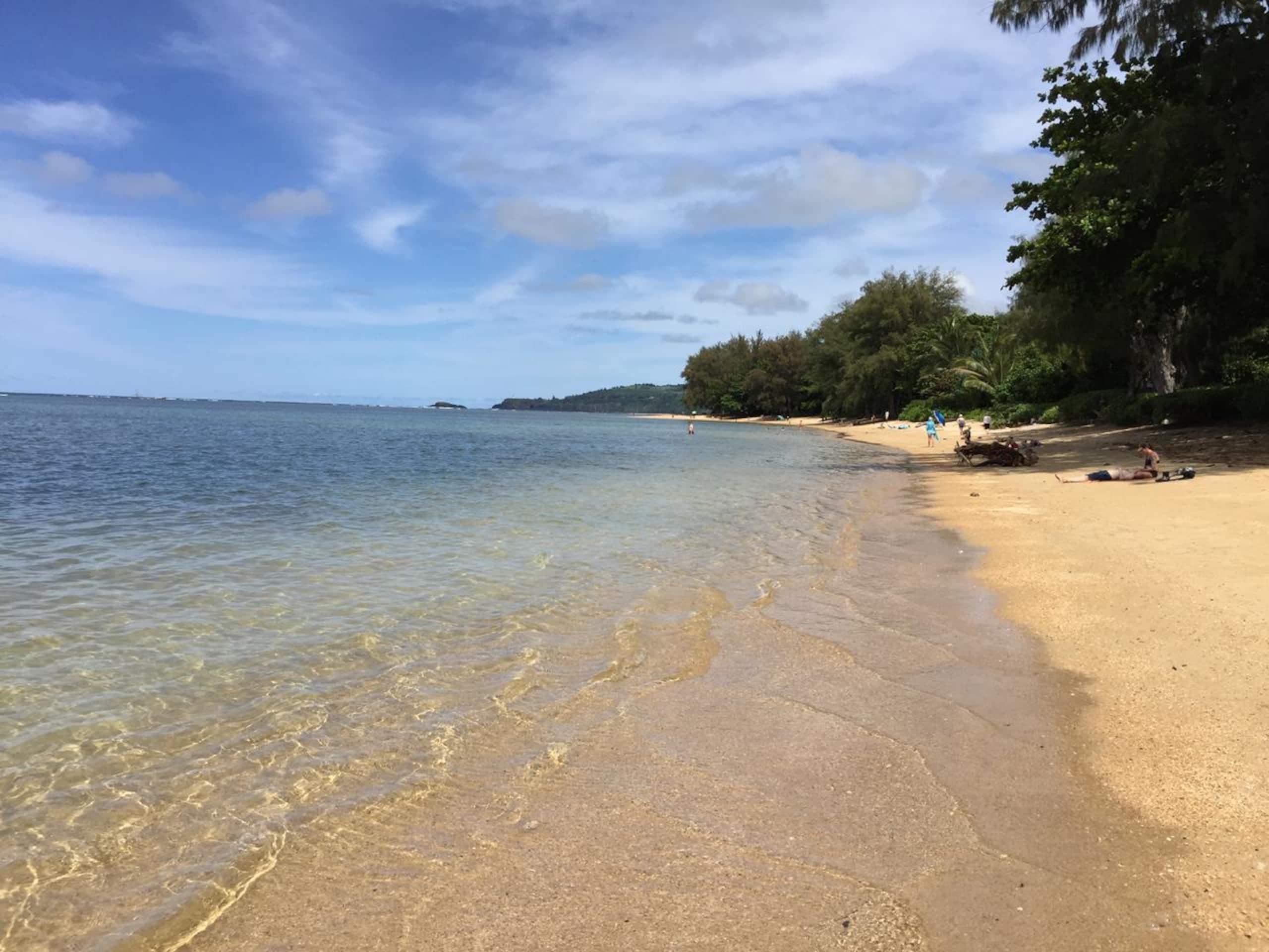 Condo in Princeville · ★4.94 · 2 bedrooms · 2 beds · 2 shared baths - Image 30
