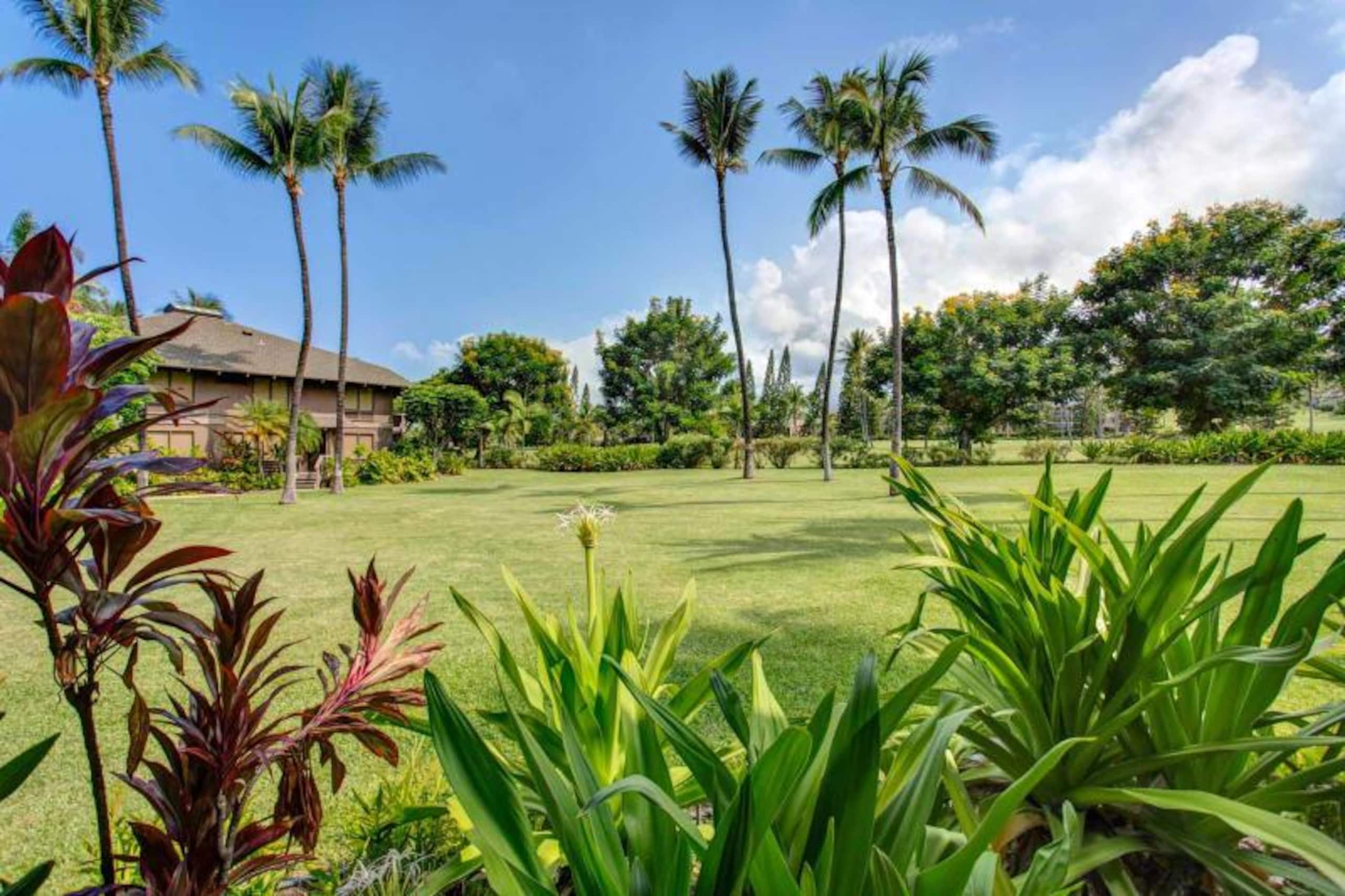 Condo in KAILUA-KONA · ★4.33 · 2 bedrooms · 3 beds · 2 baths - Image 7