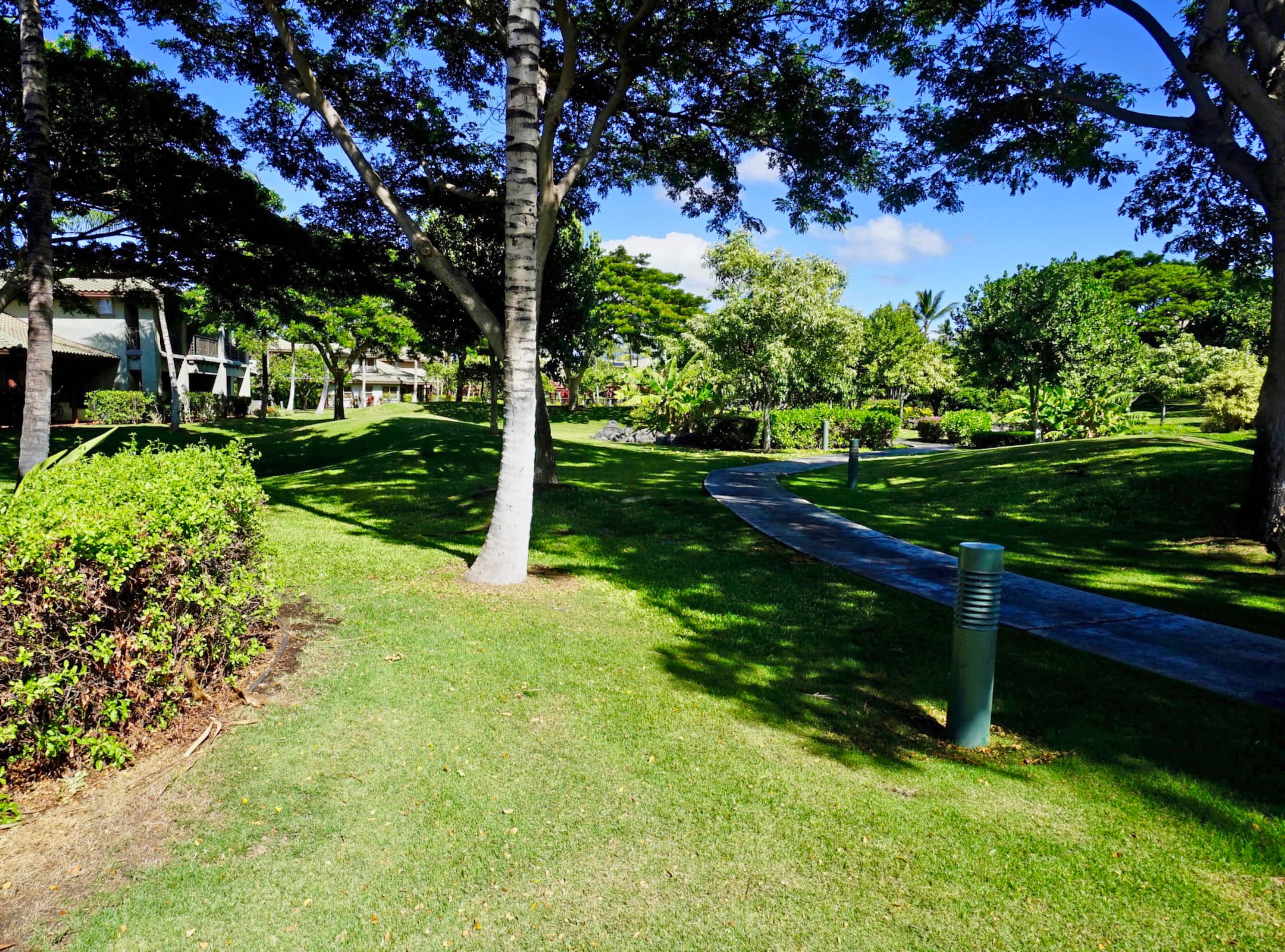 Condo in Waimea · ★4.86 · 3 bedrooms · 4 beds · 2.5 baths - Image 21