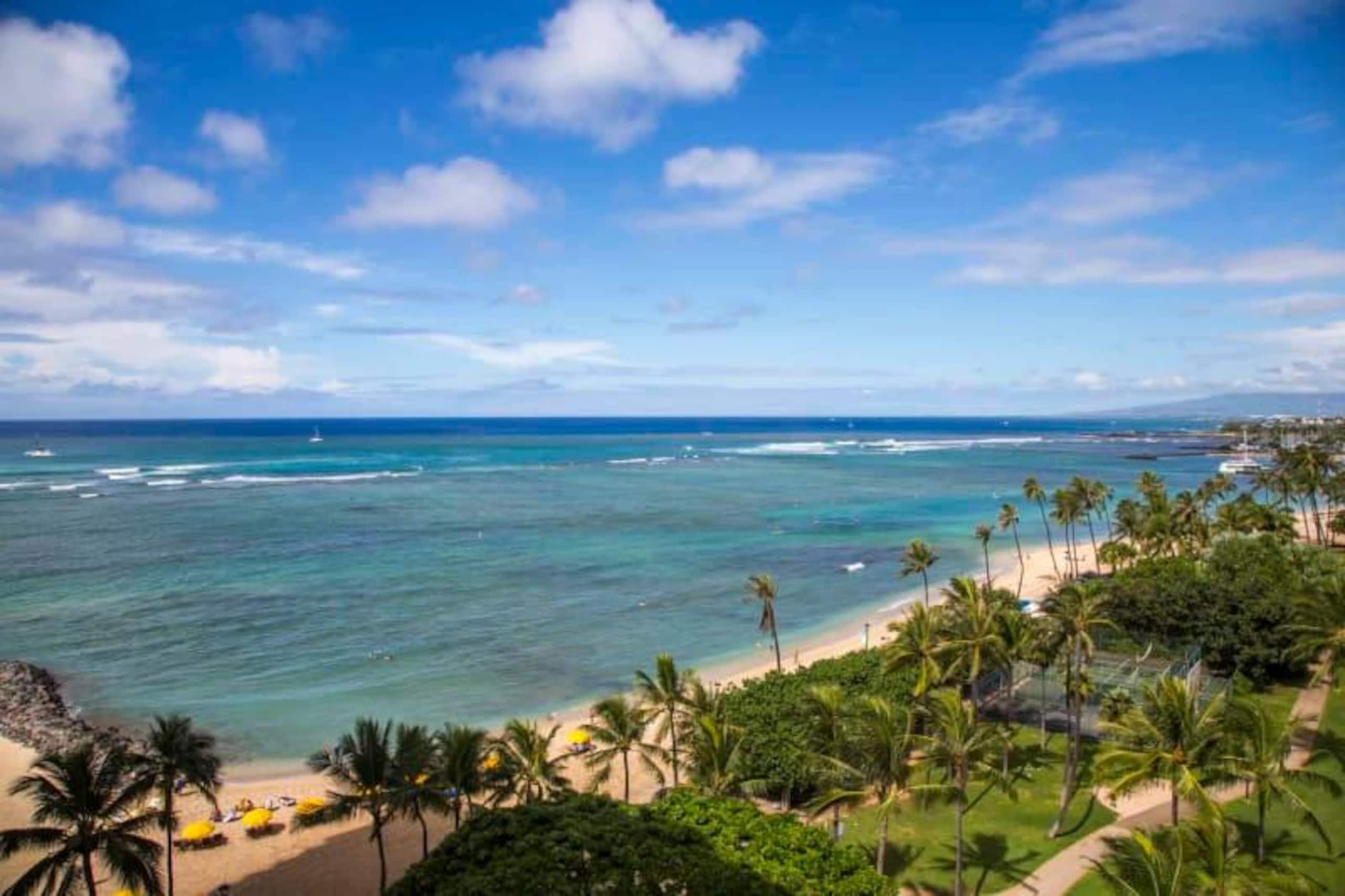 Condo in Honolulu · ★4.5 · 1 bedroom · 1 bed · 1 private bath - Image 20