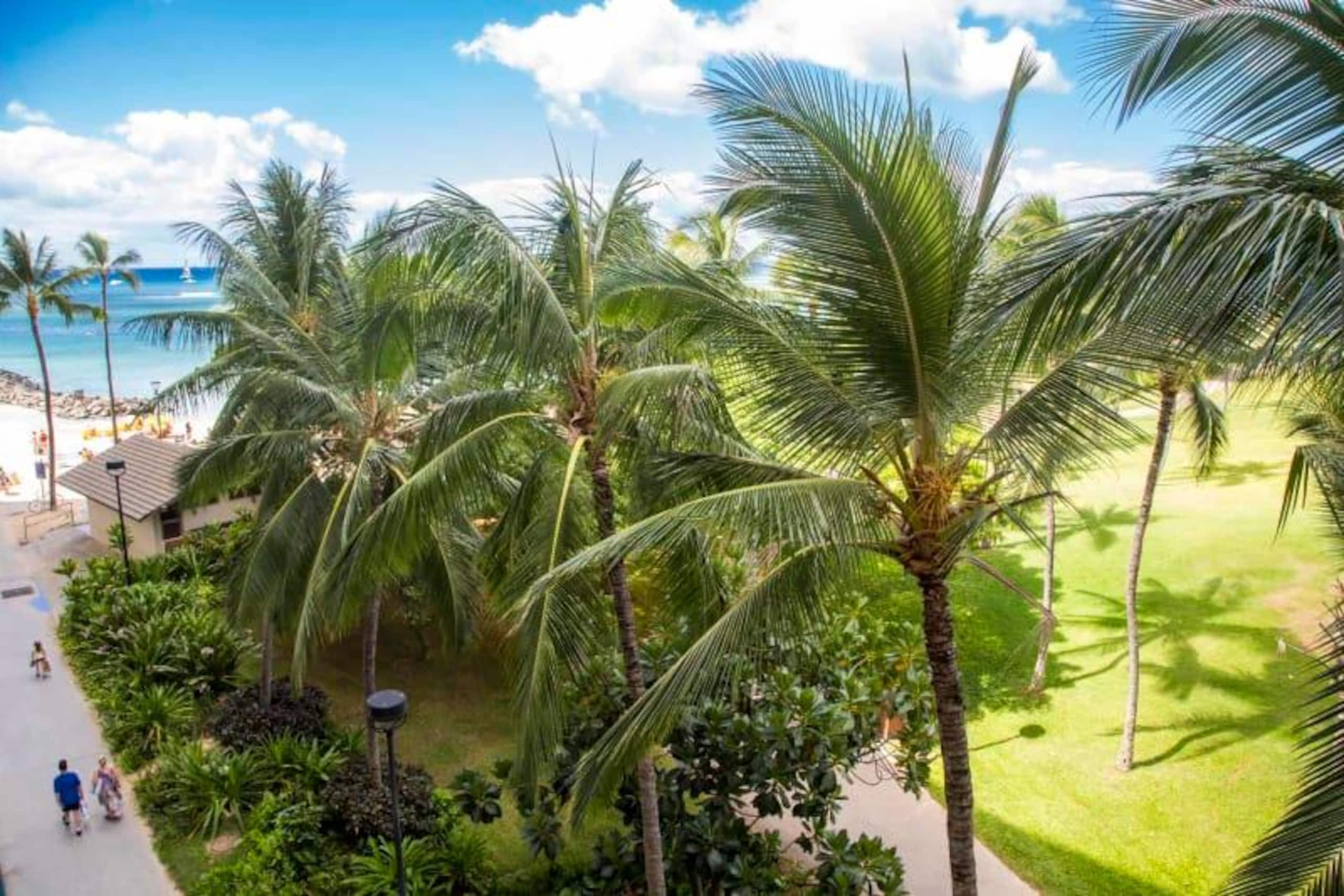 Condo in Honolulu · ★4.63 · 1 bedroom · 1 bed · 1 shared bath - Image 18