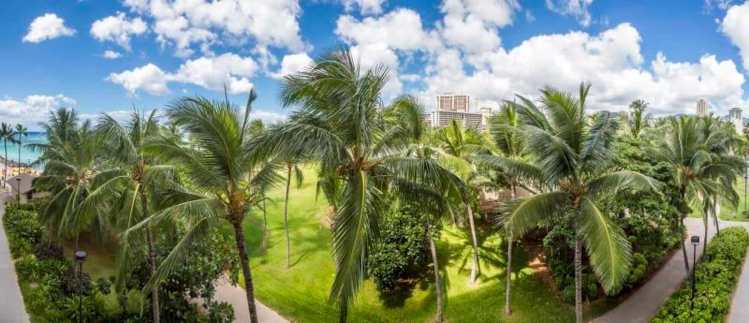 Condo in Honolulu · ★4.63 · 1 bedroom · 1 bed · 1 shared bath - Image 19