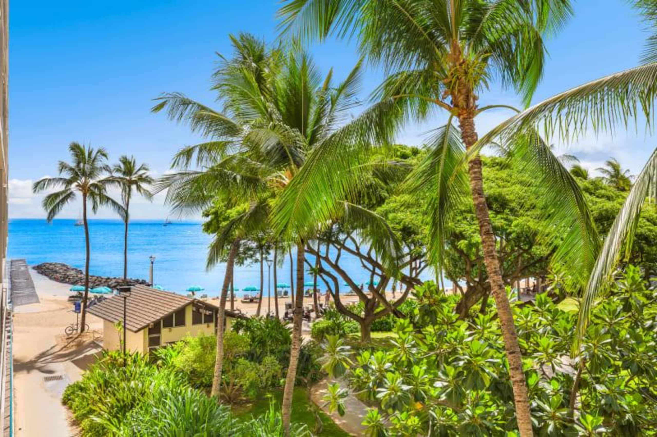 Condo in Honolulu · ★4.83 · 1 bedroom · 1 bed · 1 shared bath - Image 4
