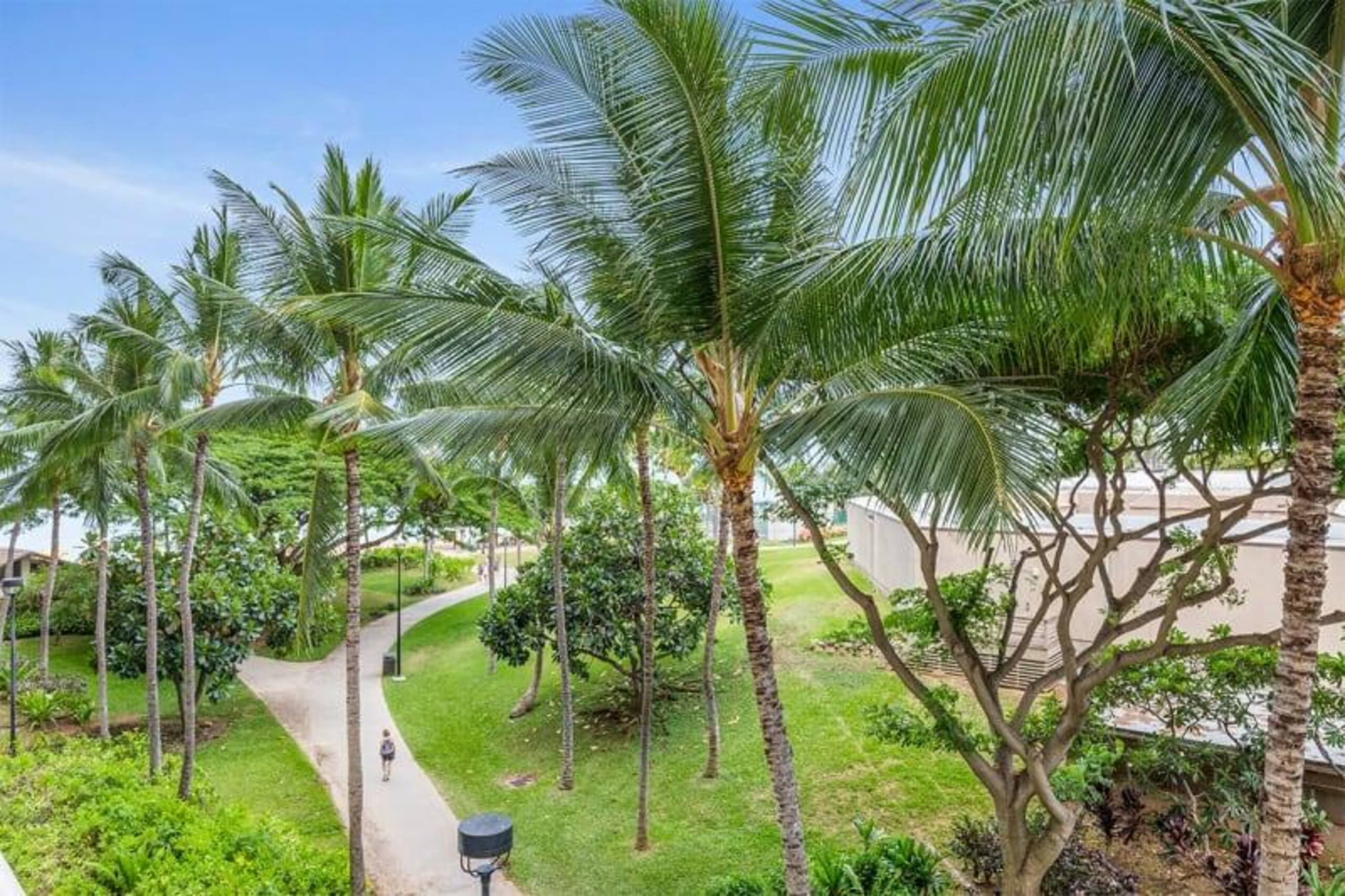 Condo in Honolulu · ★4.43 · 1 bedroom · 1 bed · 1 private bath - Image 14