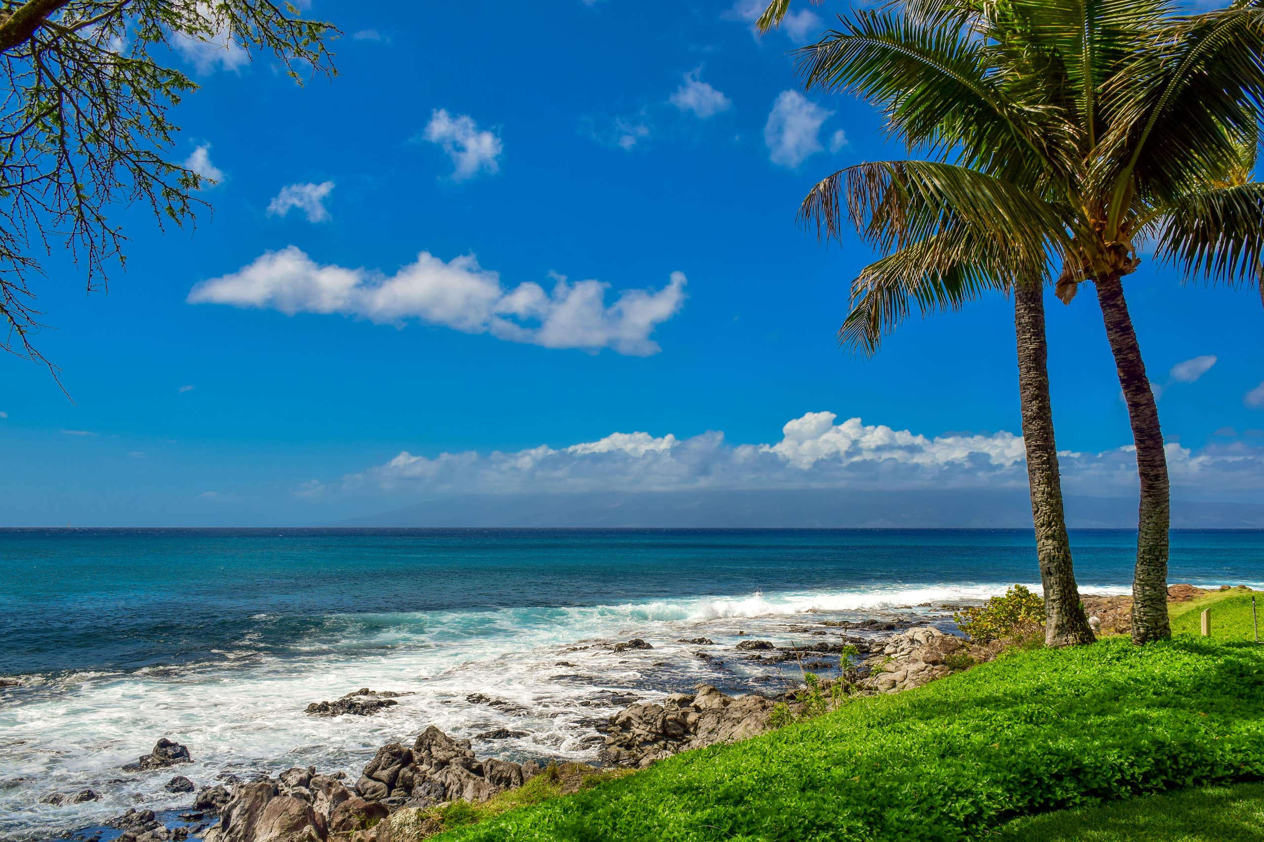 Condo in Lahaina · ★4.56 · 1 bedroom · 1 bed · 1 bath - Image 21
