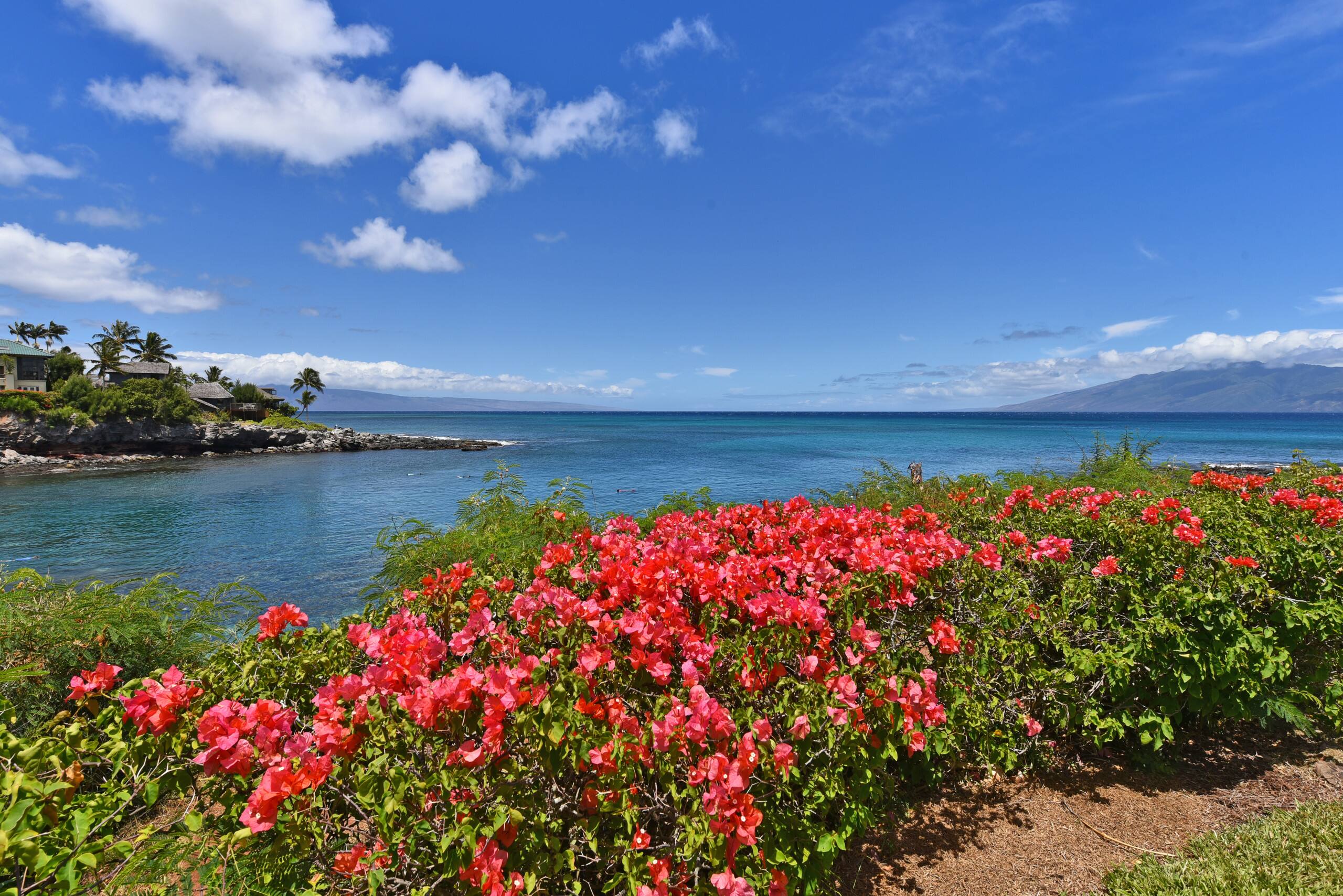 Condo in Lahaina · ★4.56 · 1 bedroom · 1 bed · 1 bath - Image 15