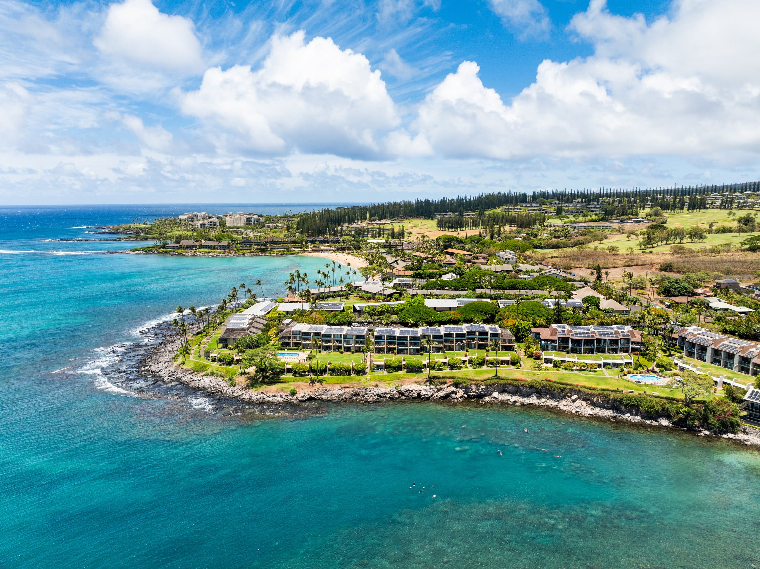 Condo in Lahaina · ★4.56 · 1 bedroom · 1 bed · 1 bath - Image 30