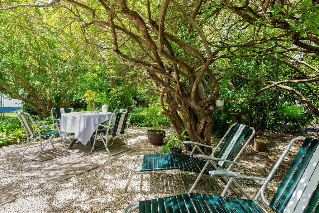 A serene garden area is featured, shaded by lush trees. A dining table set for outdoor meals sits amongst greenery, accompanied by folding lounge chairs. The scene is surrounded by various plants, creating a natural and inviting environment for relaxation.