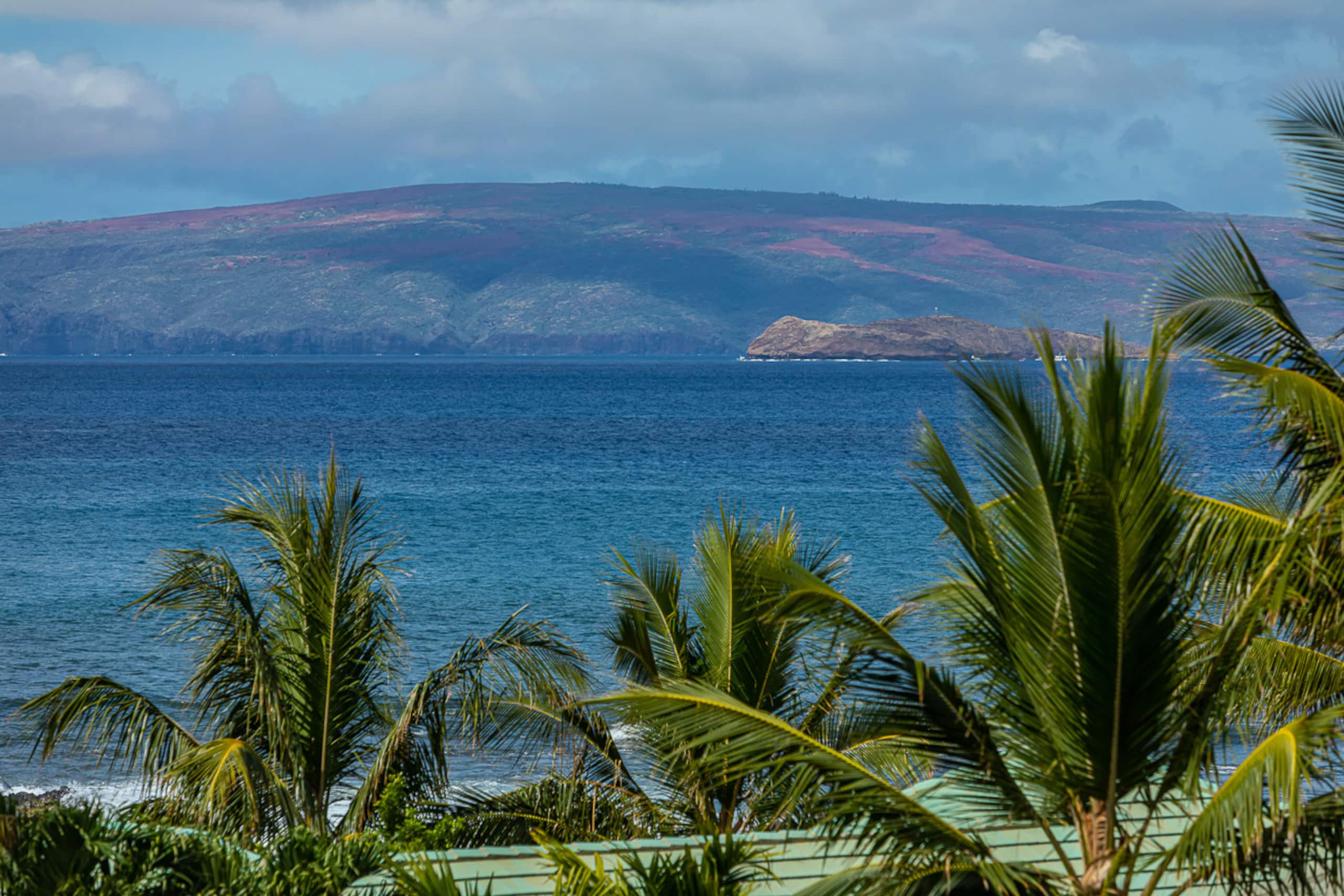 Condo in Kihei · ★4.97 · 2 bedrooms · 4 beds · 2 baths - Image 2