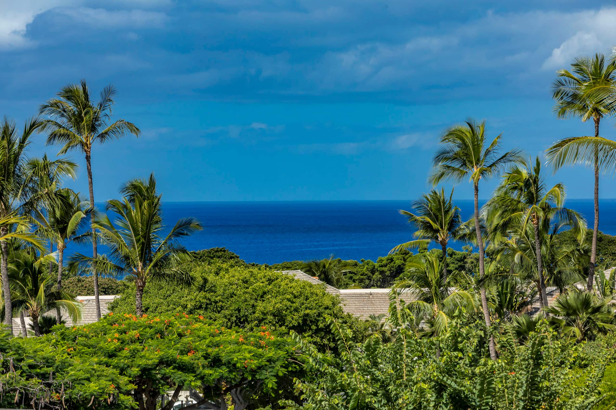 Condo in Kihei · ★4.88 · 2 bedrooms · 4 beds · 2 shared baths - Image 9
