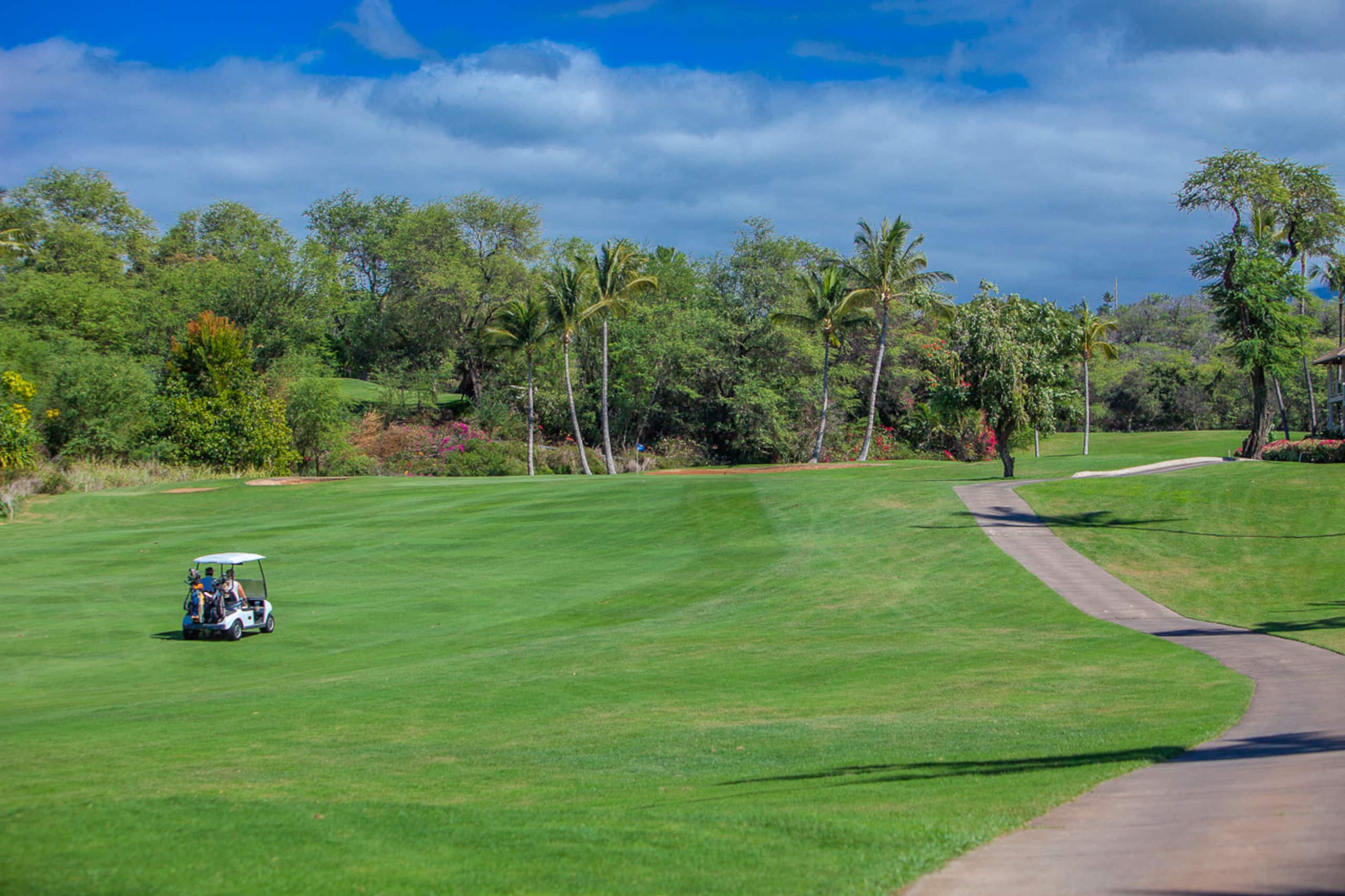Condo in Kihei · ★4.88 · 2 bedrooms · 4 beds · 2 shared baths - Image 5