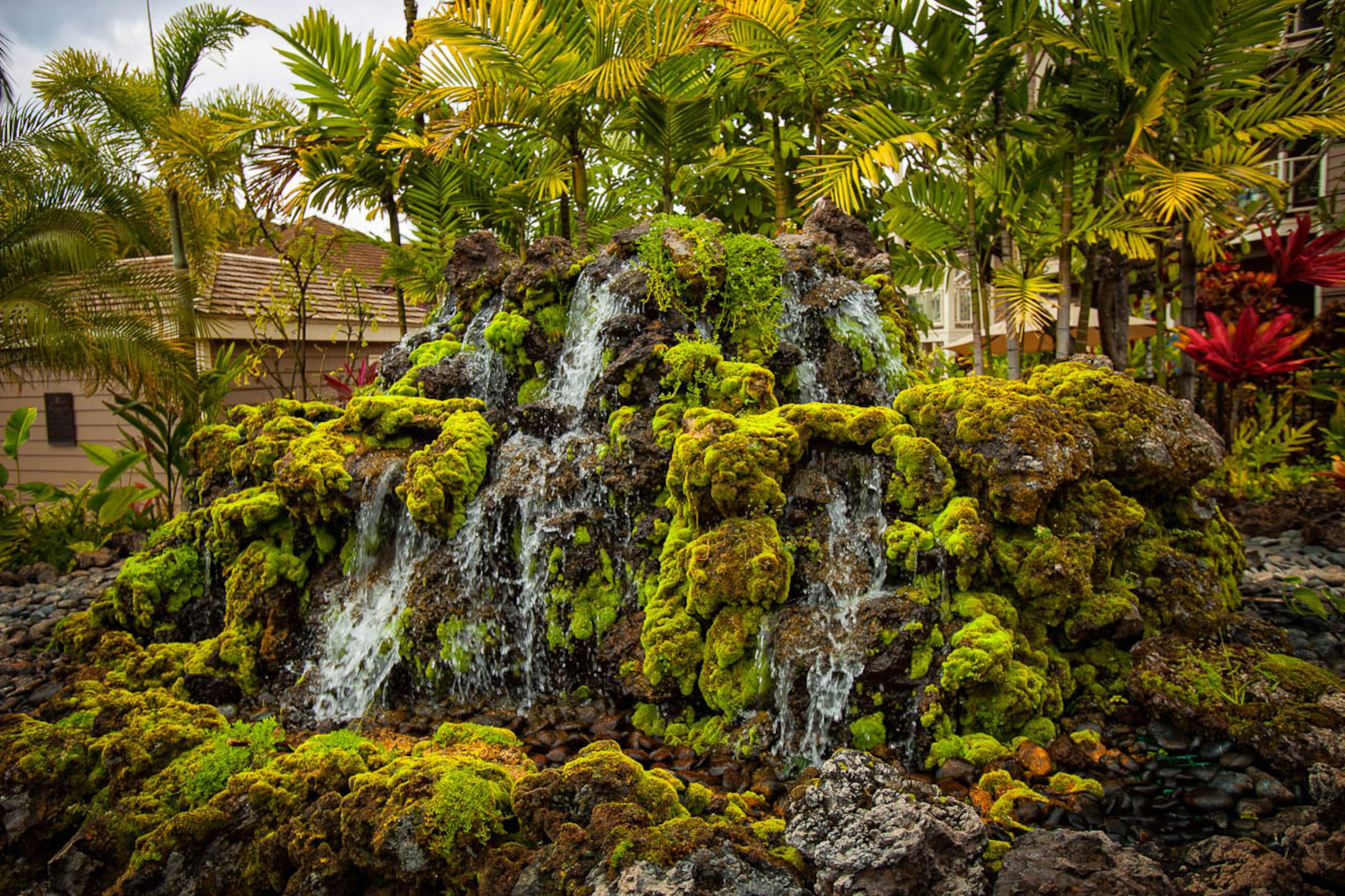 Condo in Kihei · ★4.88 · 2 bedrooms · 4 beds · 2 shared baths - Image 38