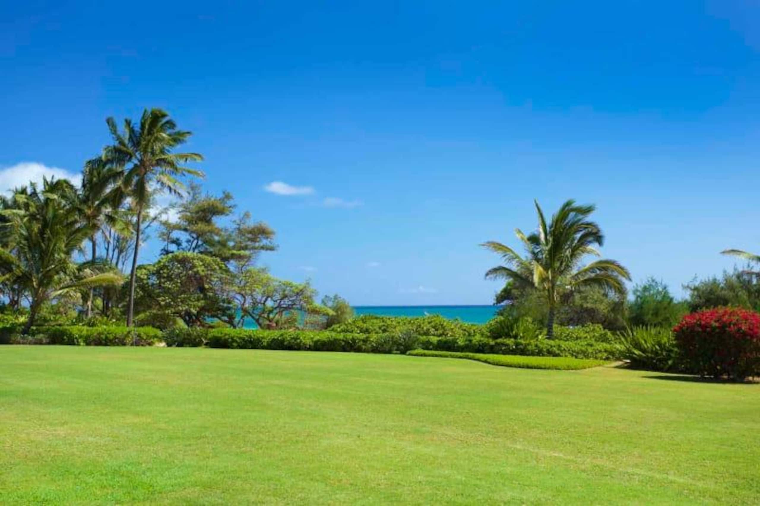 Tropical getaway - steps to Lydgate Beach Park - Photo 33