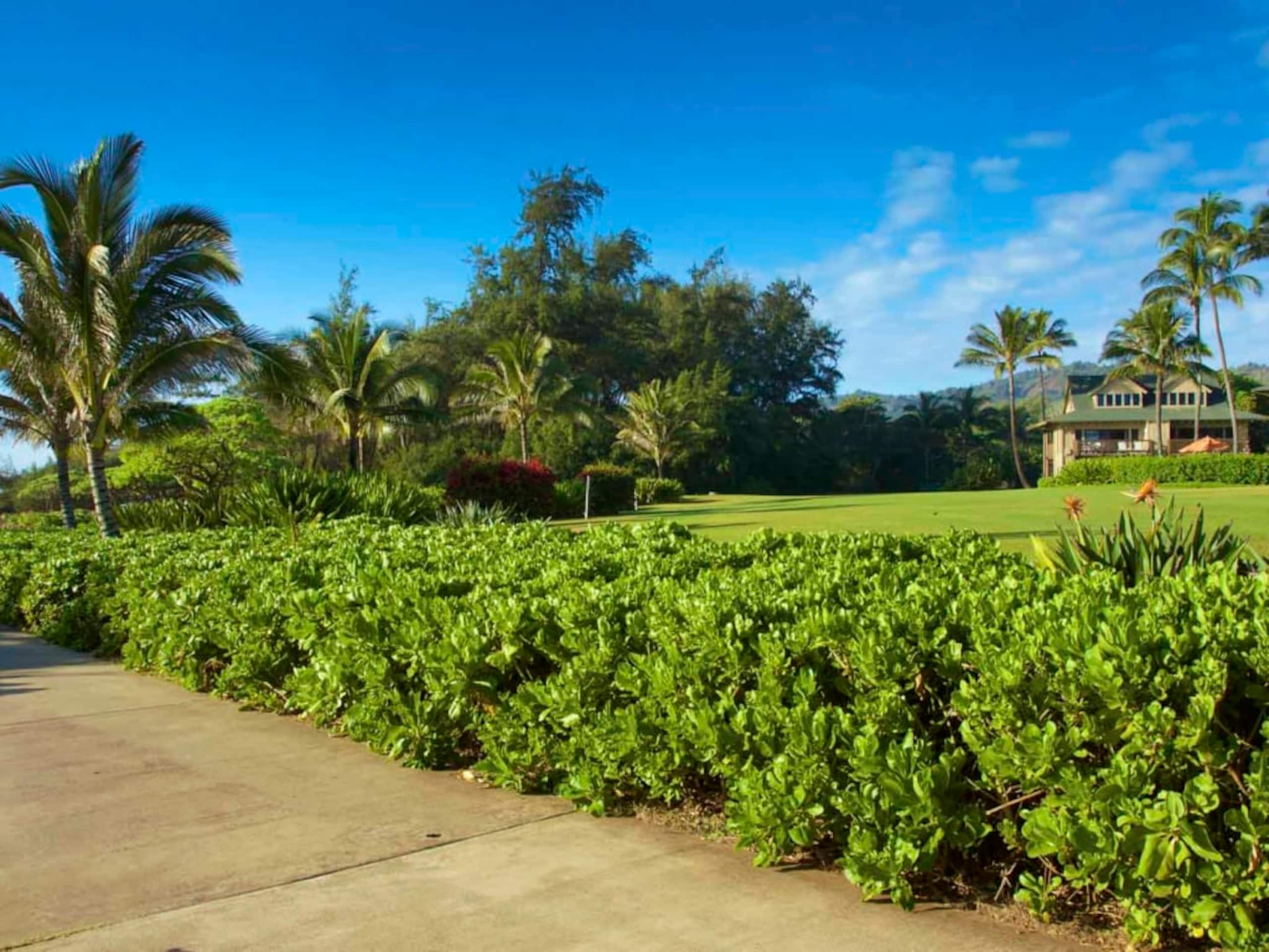 Tropical getaway - steps to Lydgate Beach Park - Photo 35