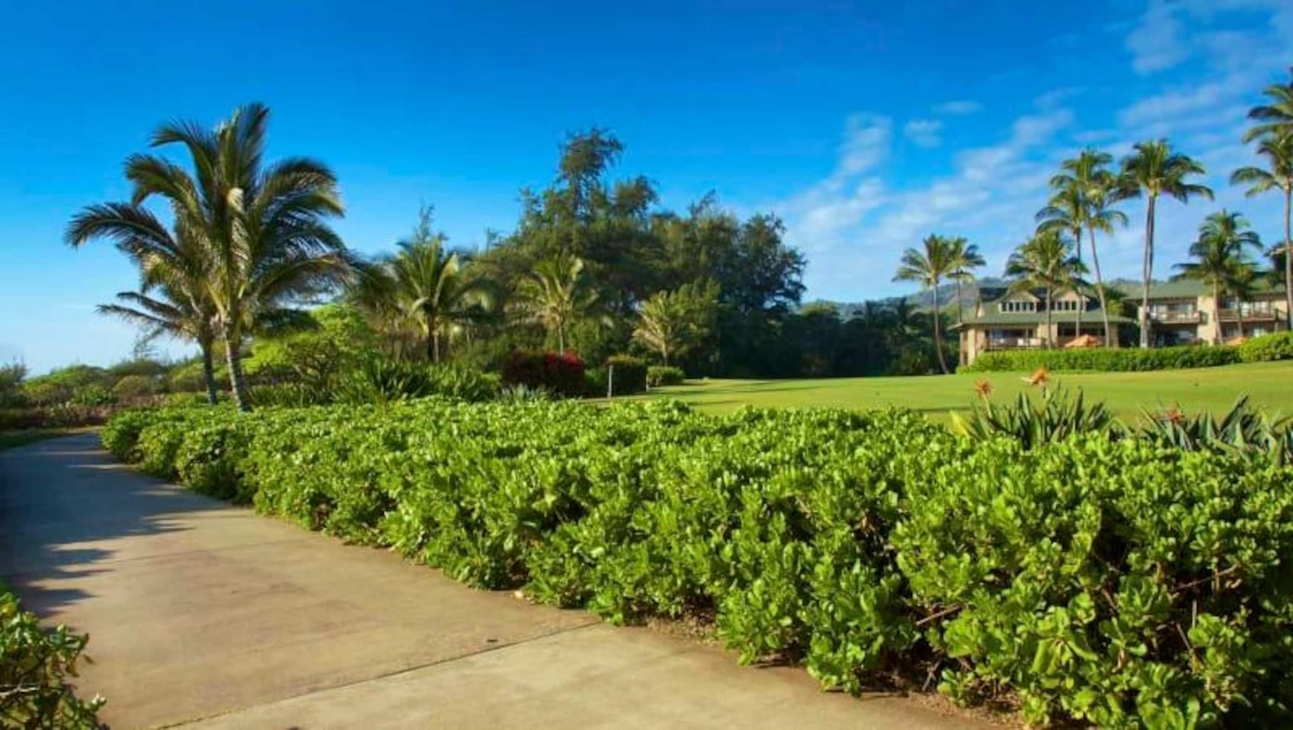 Tropical getaway - steps to Lydgate Beach Park - Photo 32