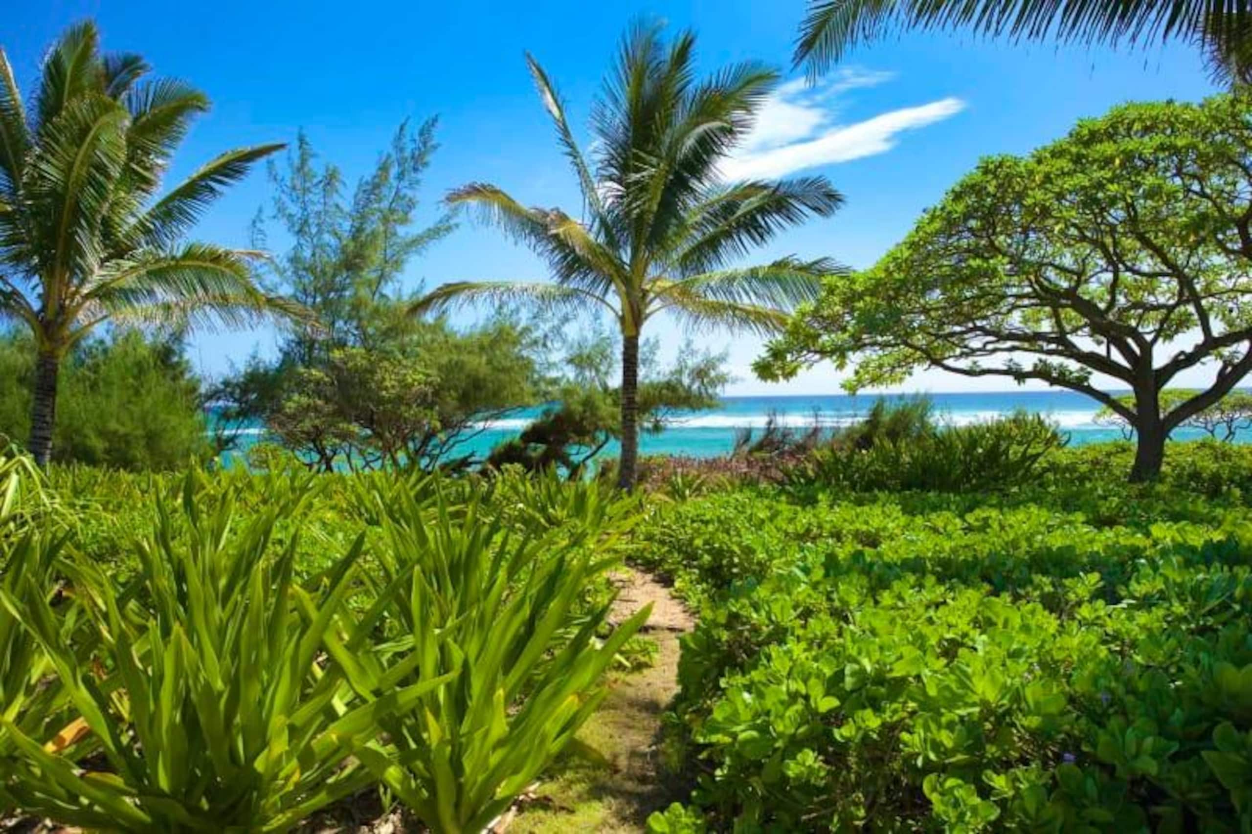 Condo in LIHUE, KAUAI · ★4.0 · 1 bedroom · 1 bed · 1.5 baths - Image 21