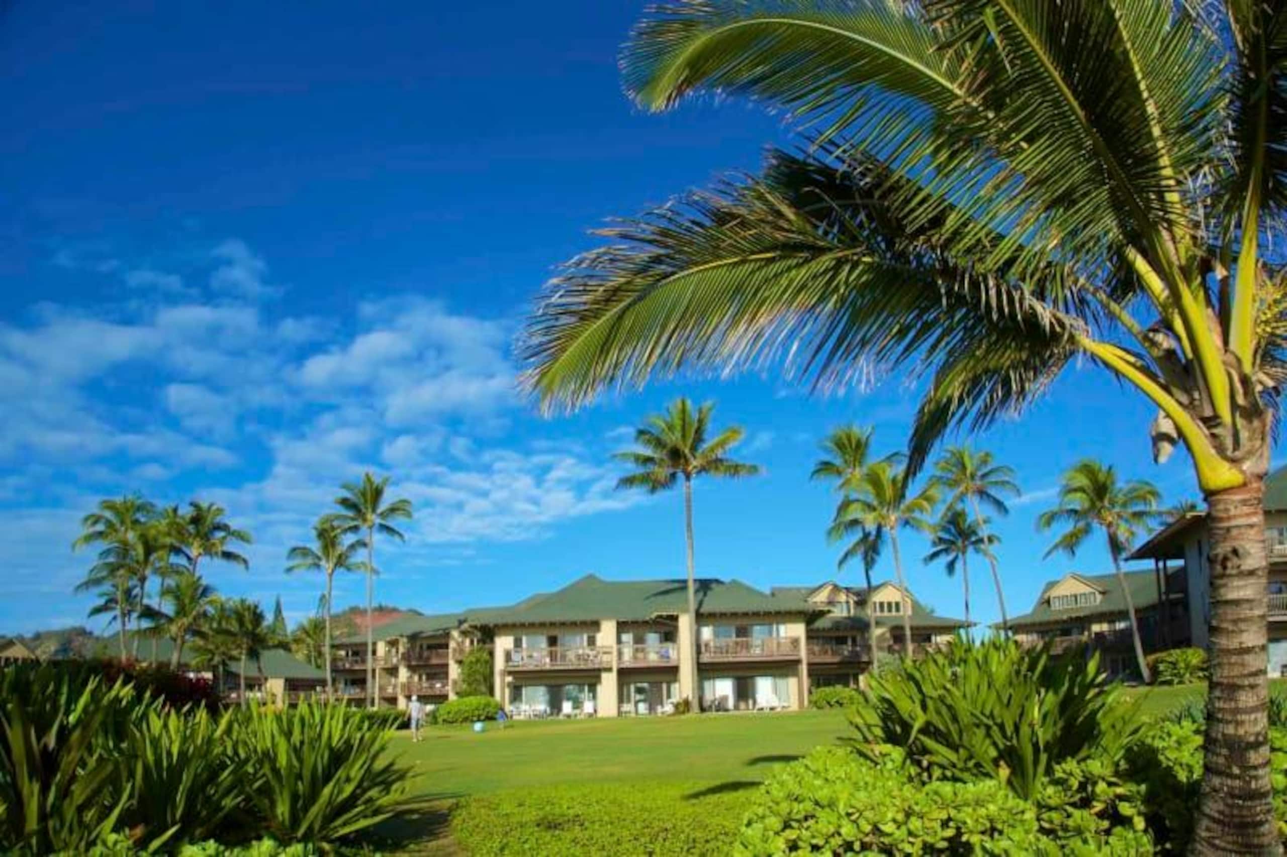 Condo in LIHUE, KAUAI · ★4.7 · 2 bedrooms · 3 beds · 2 baths - Photo 19