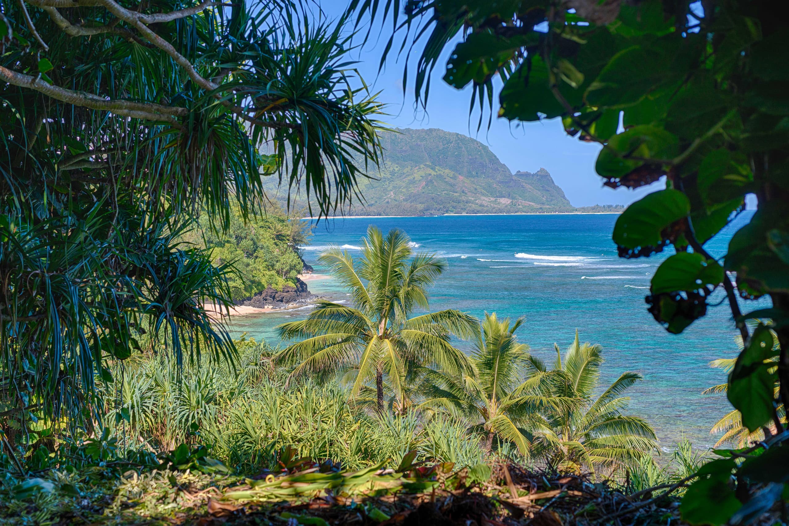 Condo in Princeville · ★4.49 · 2 bedrooms · 3 beds · 2 baths - Image 46