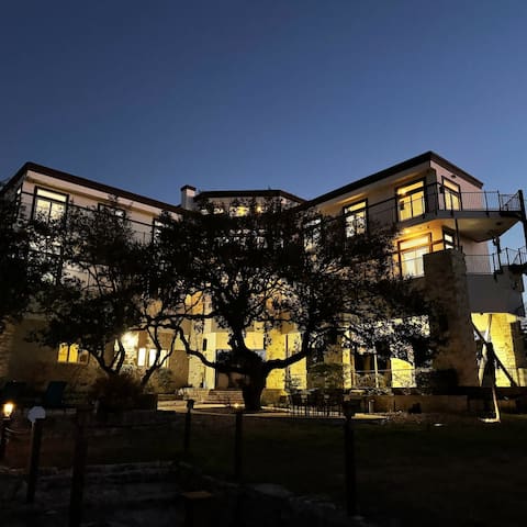 Waterfront Lake Travis Mansion