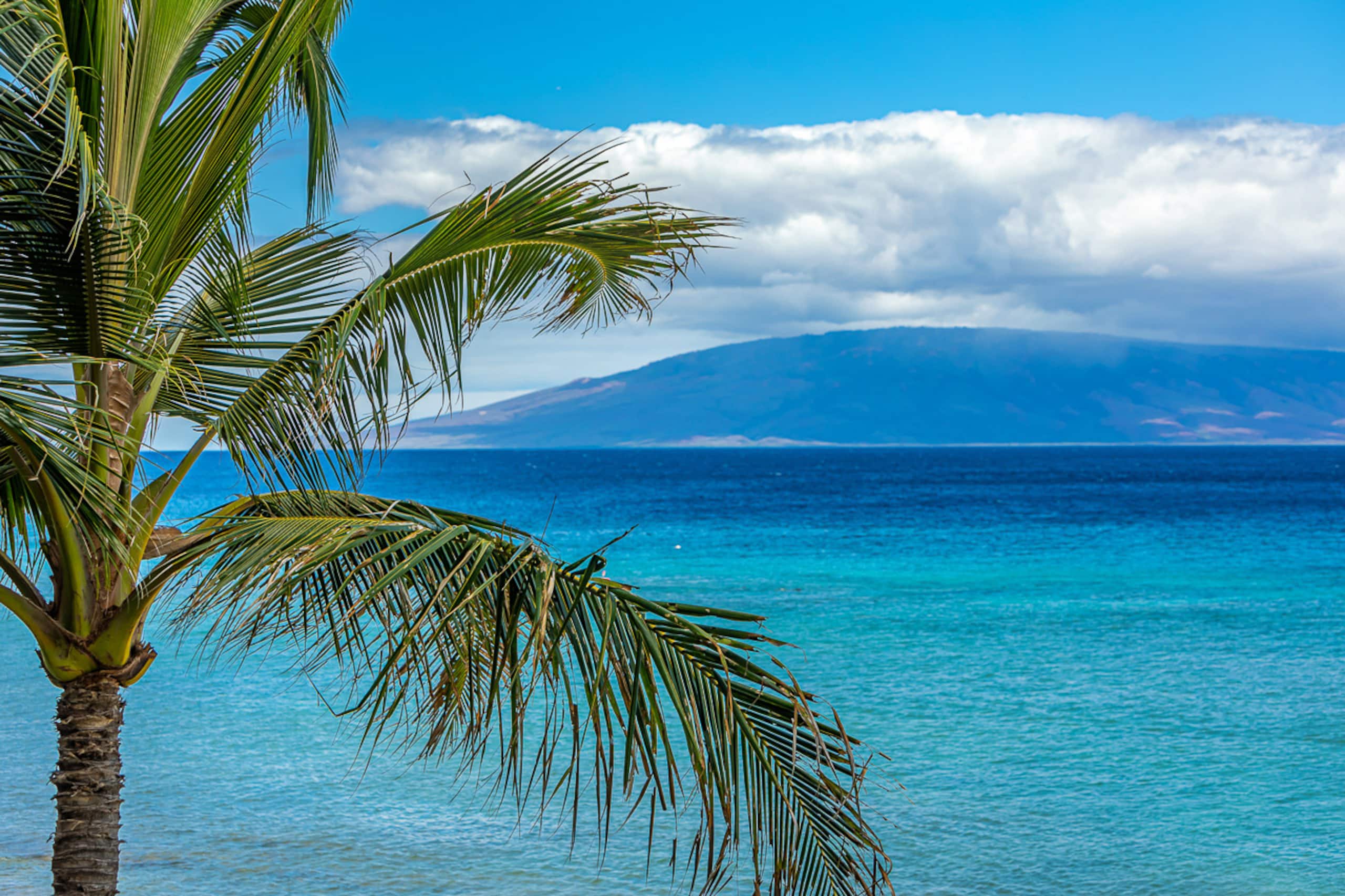 Condo in Kaanapali · ★5.0 · 1 bedroom · 2 beds · 1 bath - Image 15