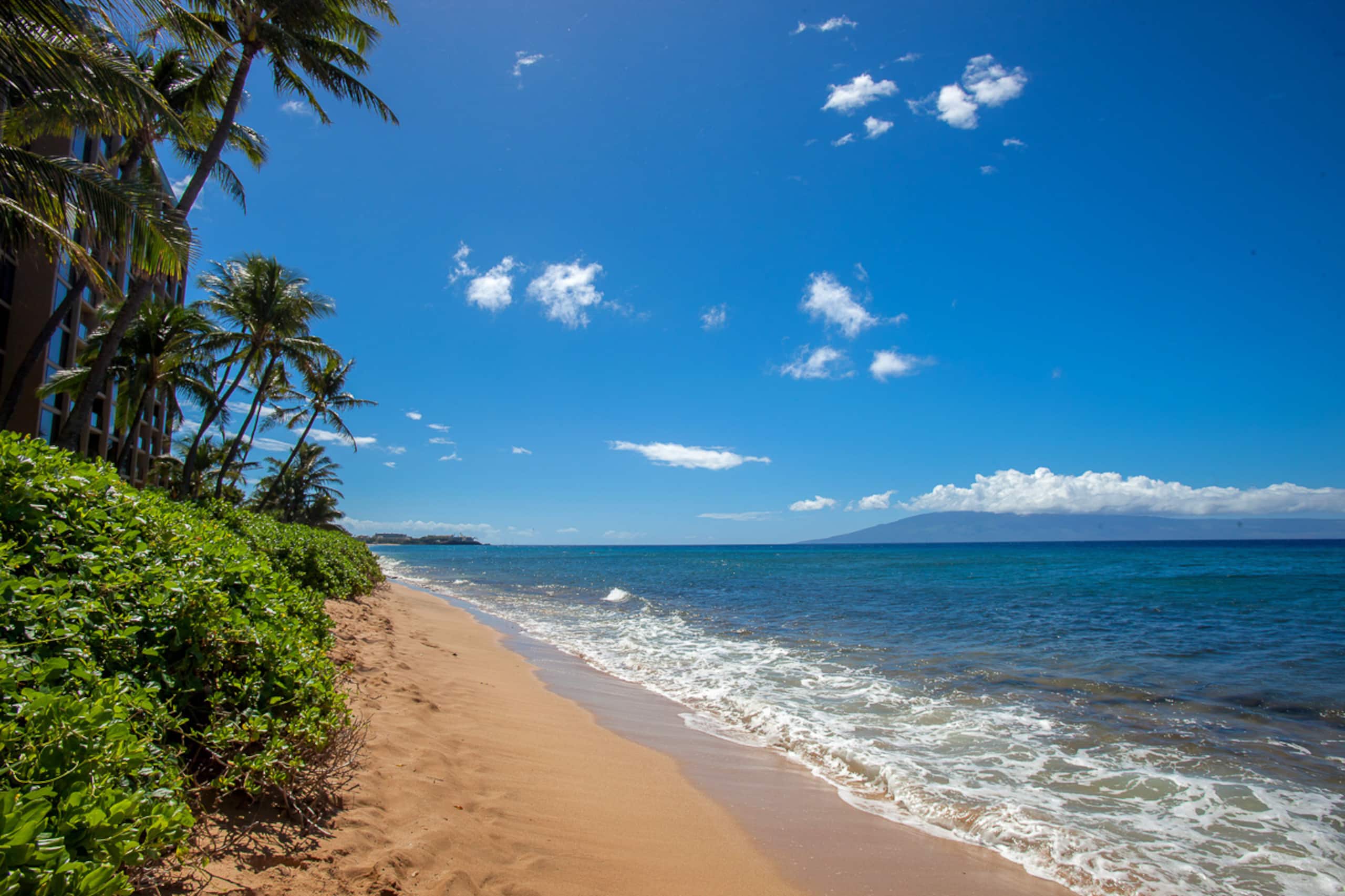 Condo in Kaanapali · ★5.0 · 1 bedroom · 2 beds · 1 bath - Image 14