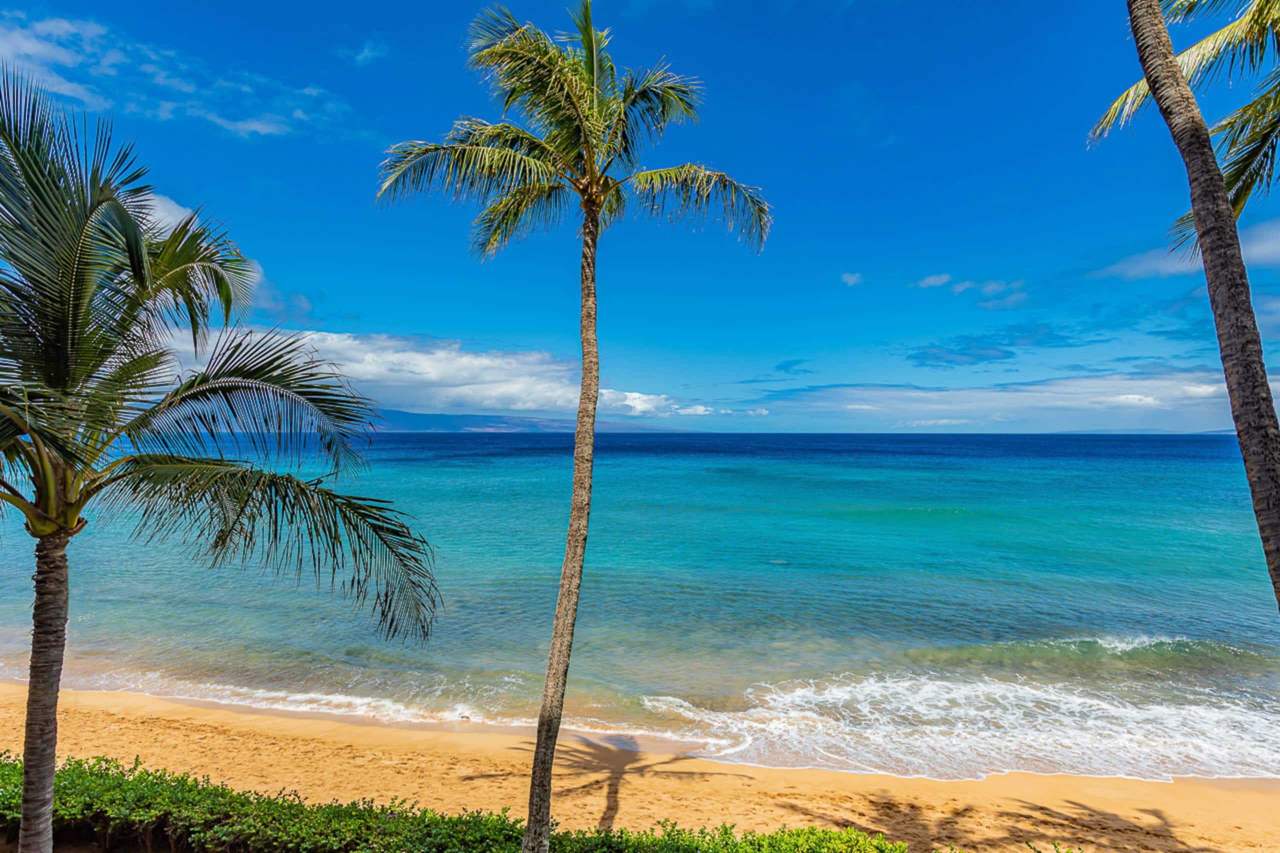 Condo in Kaanapali · ★5.0 · 1 bedroom · 2 beds · 1 bath - Image 16