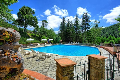 Villa Contessa - Villa with private swimming pool