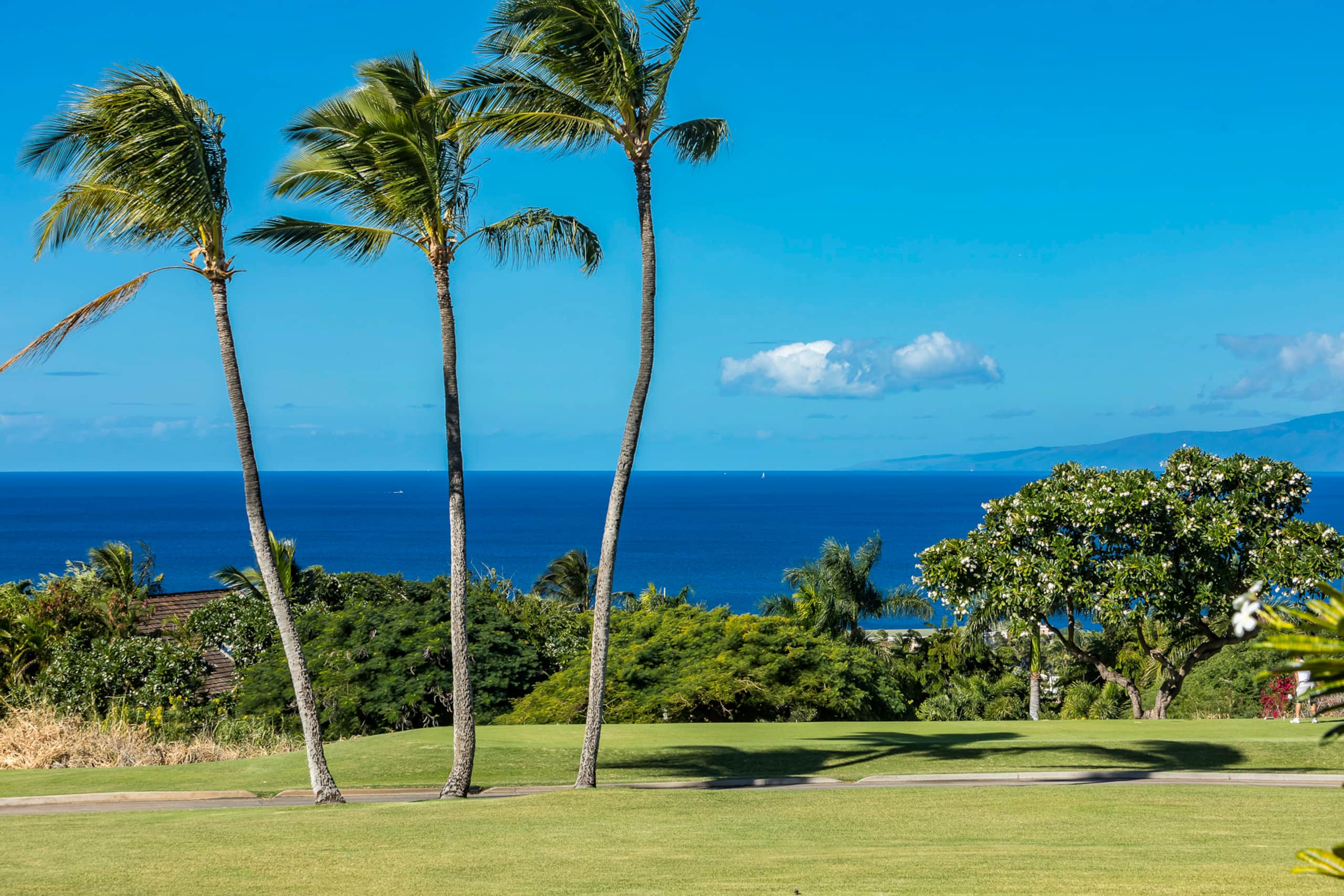Condo in Kihei · ★4.79 · 2 bedrooms · 3 beds · 2 baths - Image 5