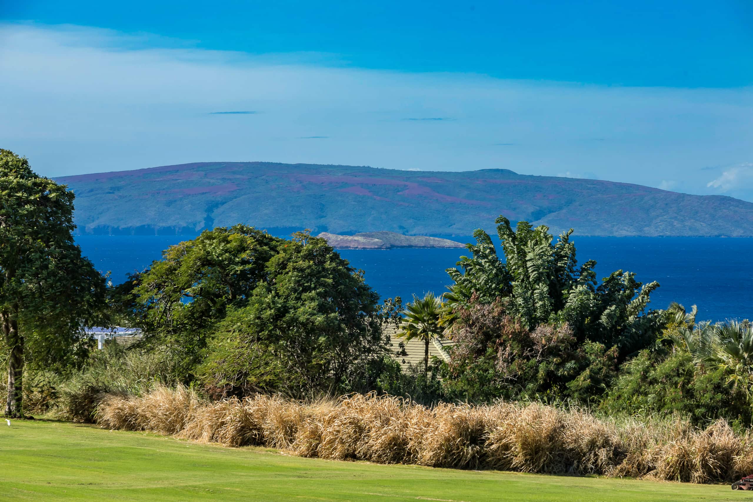 Condo in Kihei · ★4.79 · 2 bedrooms · 3 beds · 2 baths - Image 9