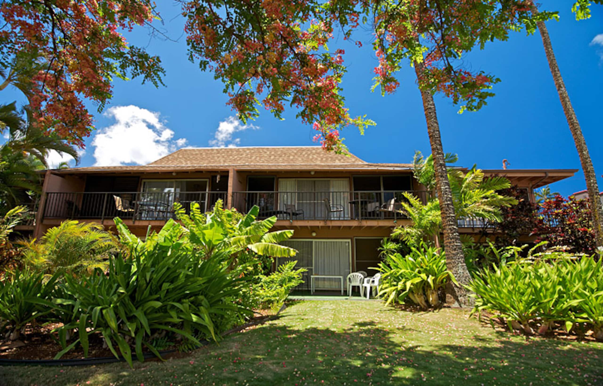 Condo in Lahaina · ★4.52 · 2 bedrooms · 4 beds · 1.5 shared baths - Image 32