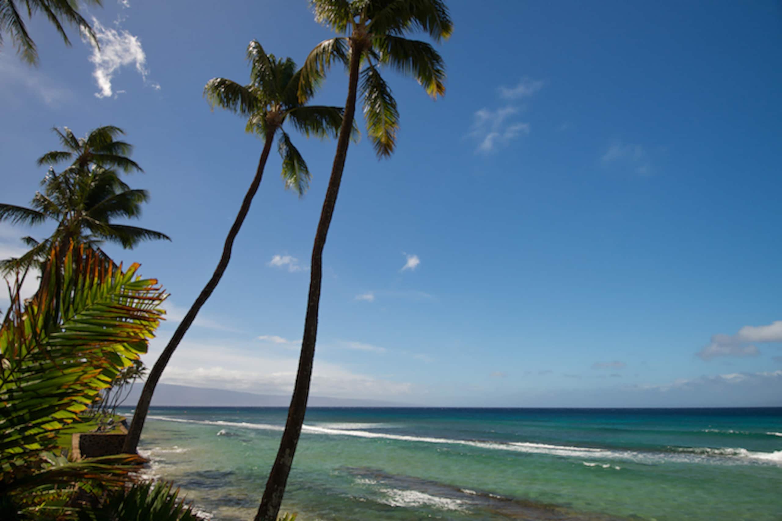 Condo in Lahaina · ★4.52 · 2 bedrooms · 4 beds · 1.5 shared baths - Image 20
