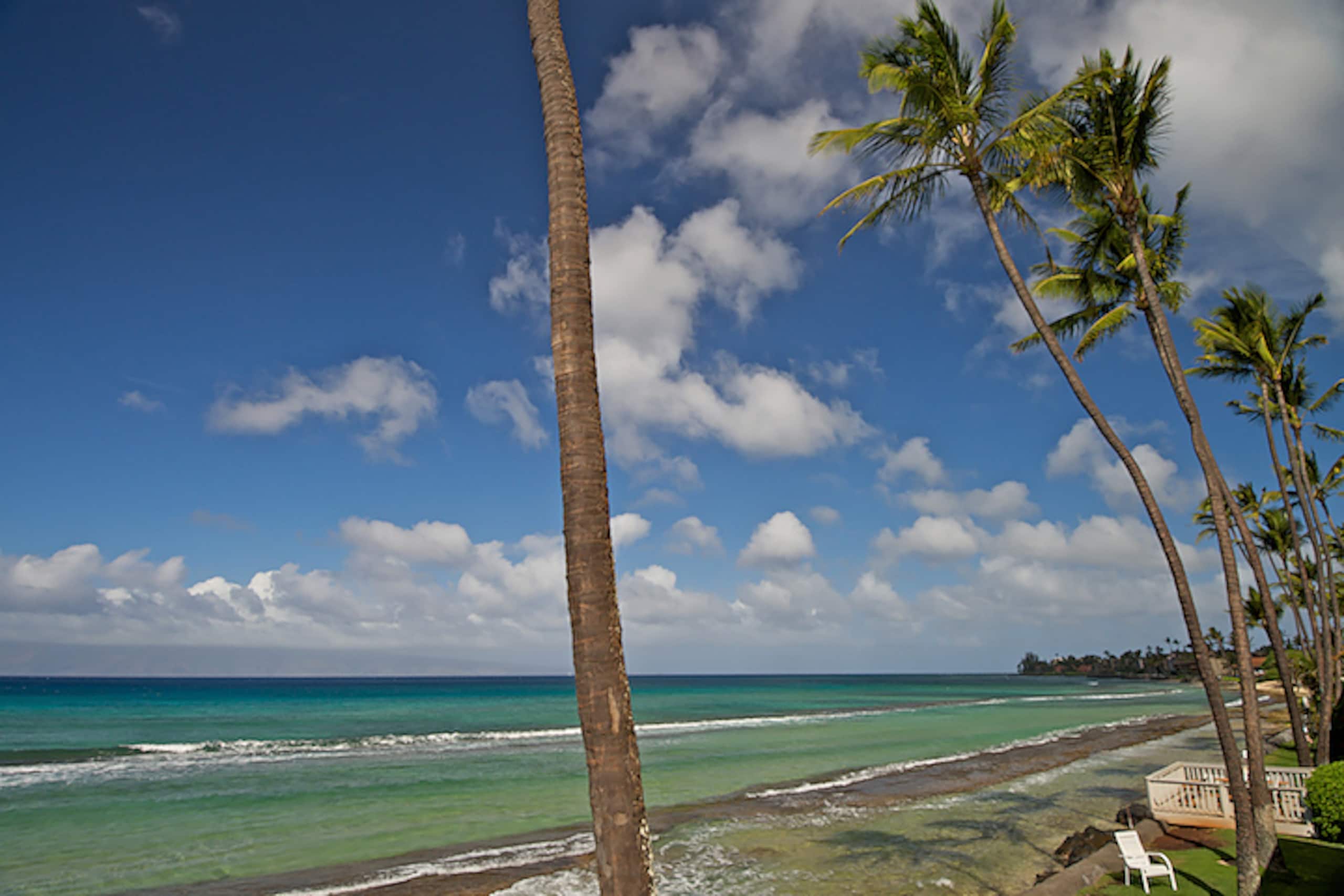 Condo in Lahaina · ★4.52 · 2 bedrooms · 4 beds · 1.5 shared baths - Image 19