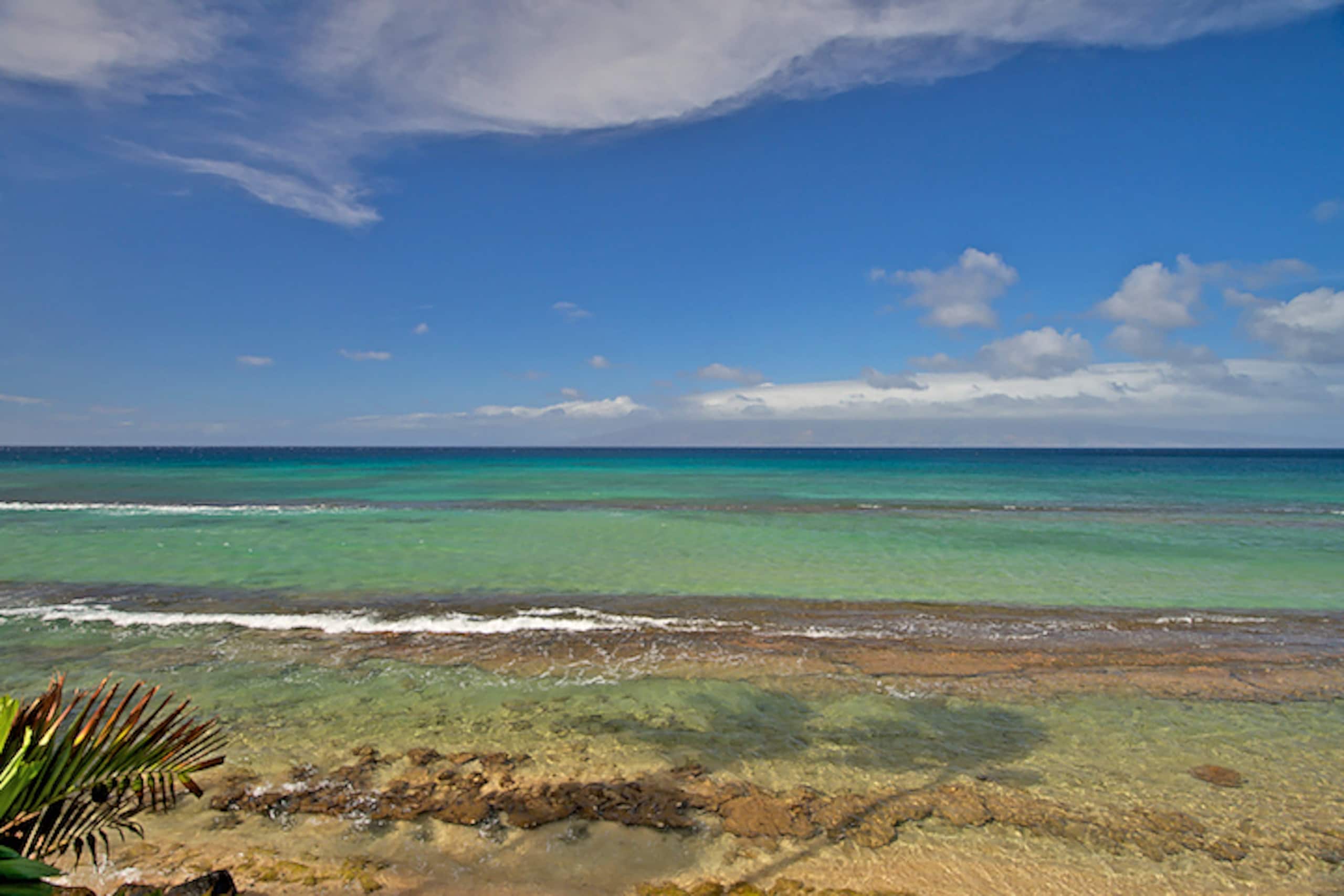 Condo in Lahaina · ★4.52 · 2 bedrooms · 4 beds · 1.5 shared baths - Image 22